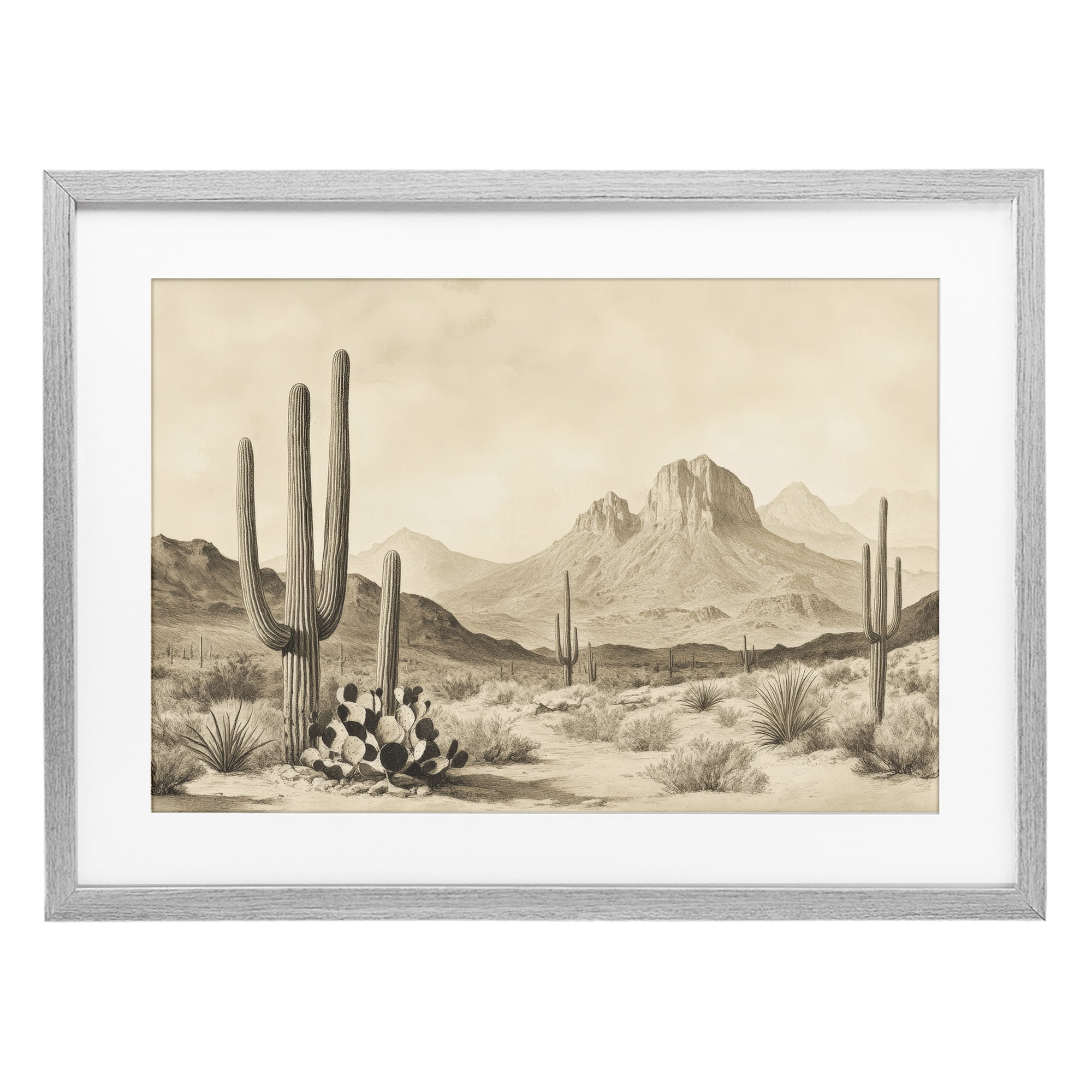 Stupell Industries Arizona Desert Vista Gray Framed Print Under Glass, design by Petal Prints Design