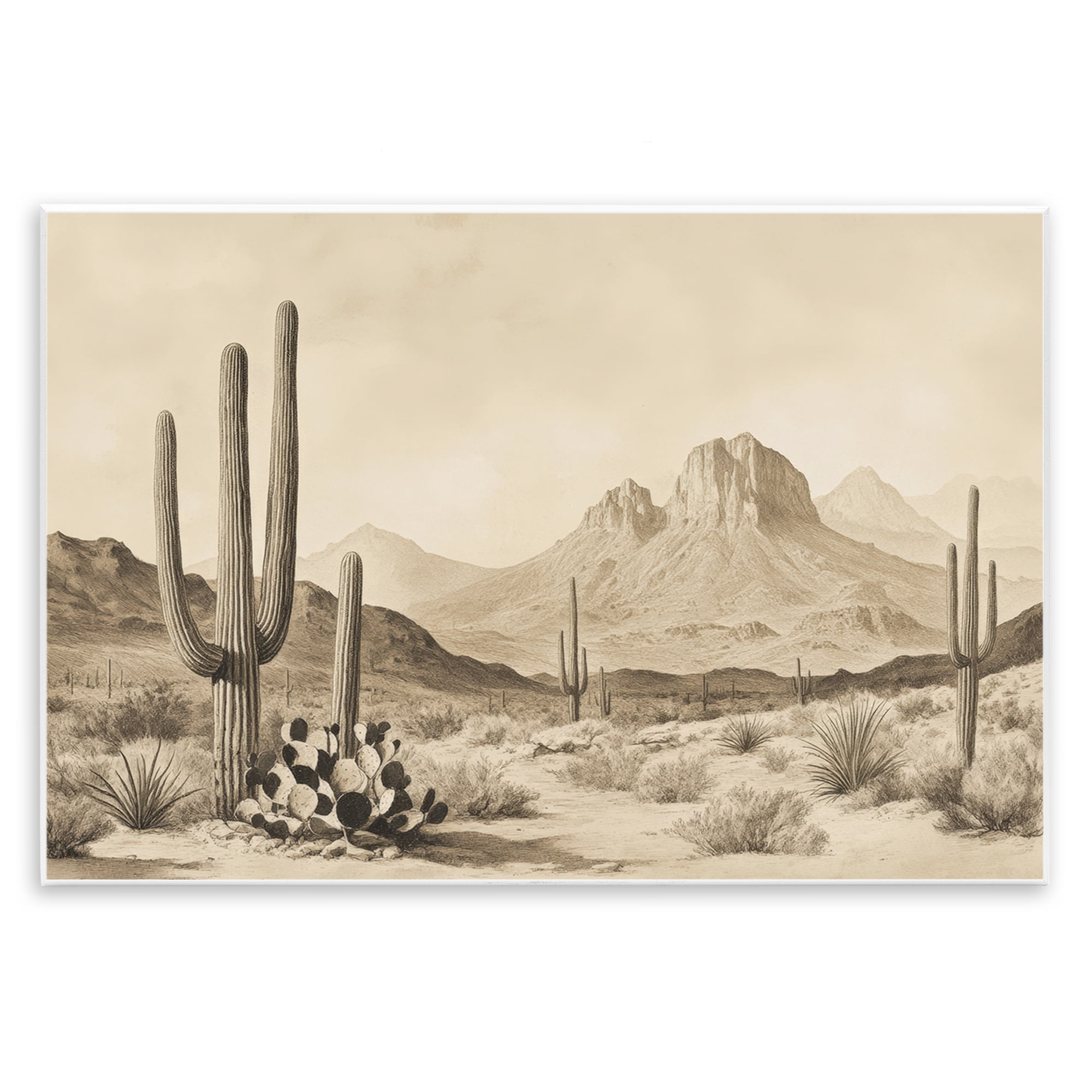 Stupell Industries Arizona Desert Vista Wall Plaque Art, design by Petal Prints Design