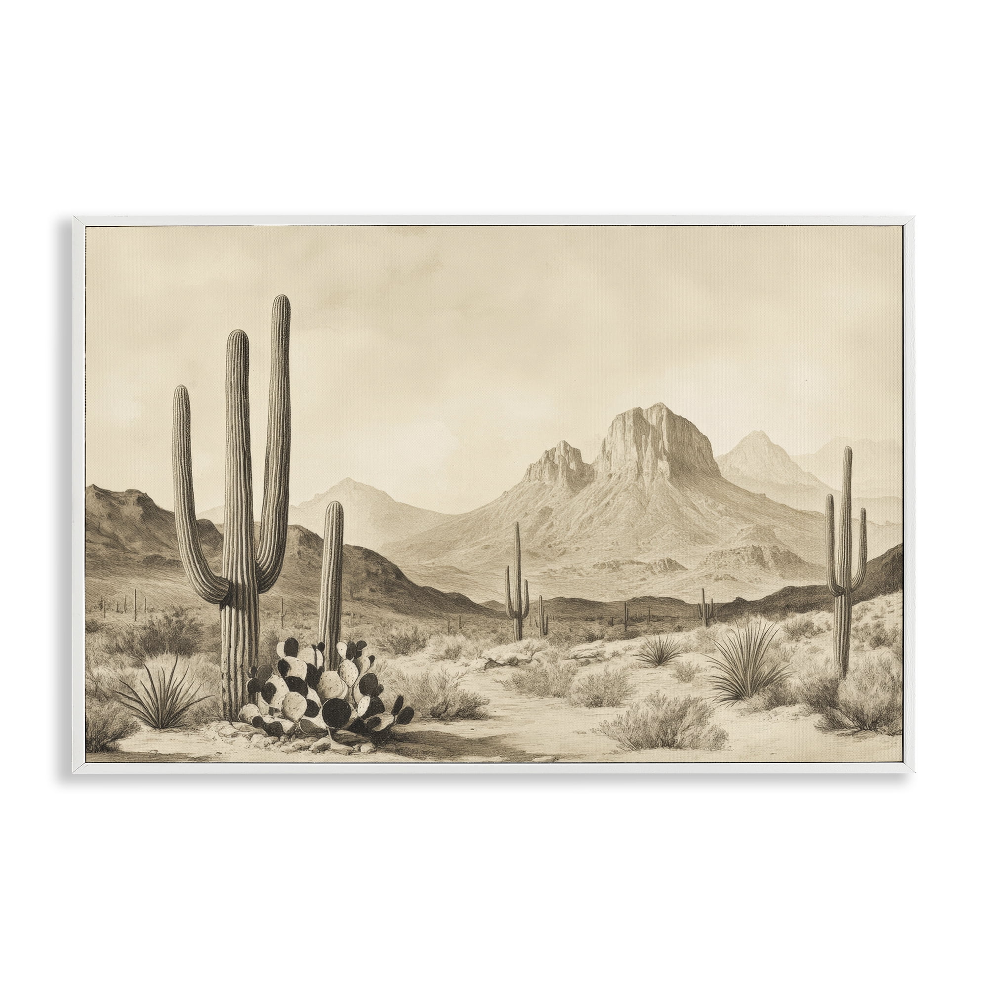 Stupell Industries Arizona Desert Vista White Framed Giclee Art, design by Petal Prints Design
