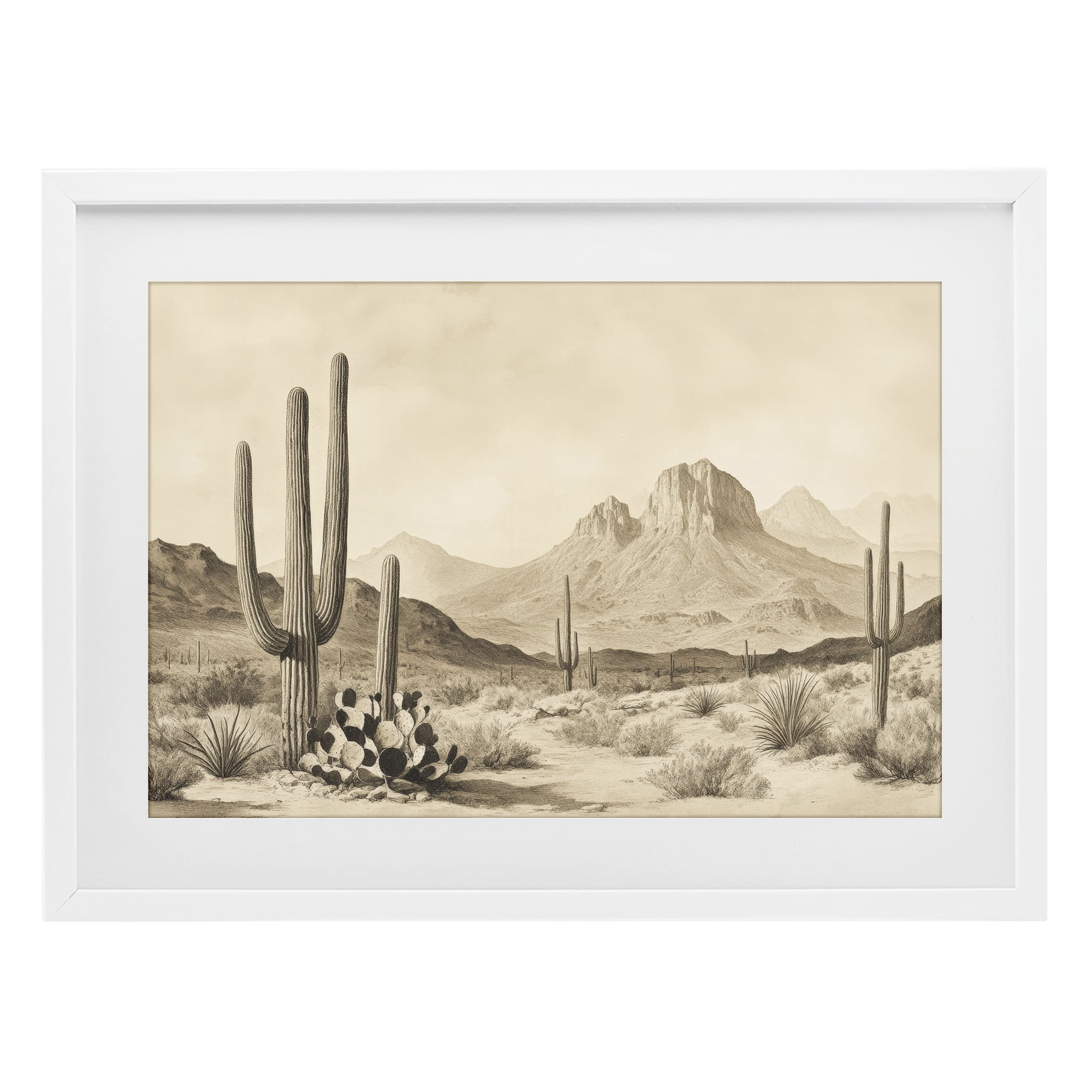Stupell Industries Arizona Desert Vista White Framed Print Under Glass, design by Petal Prints Design