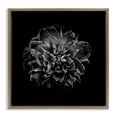 thumbnail image 1 of Stupell Industries Art Deco Dark Carnation on Black Brown Floating Frame Canvas Art, 18 x 18, by Brian Carson, 1 of 8