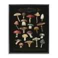 thumbnail image 1 of Stupell Industries Art Deco Dark Informative Mushroom Chart Black Floating Frame Canvas Art, 17 x 21, by Amylee Weeks, 1 of 7
