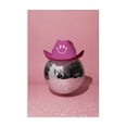 thumbnail image 1 of Stupell Industries Art Deco Disco Ball with Cowboy Hat Canvas Art, 16 x 24, by LISH Creative, 1 of 8