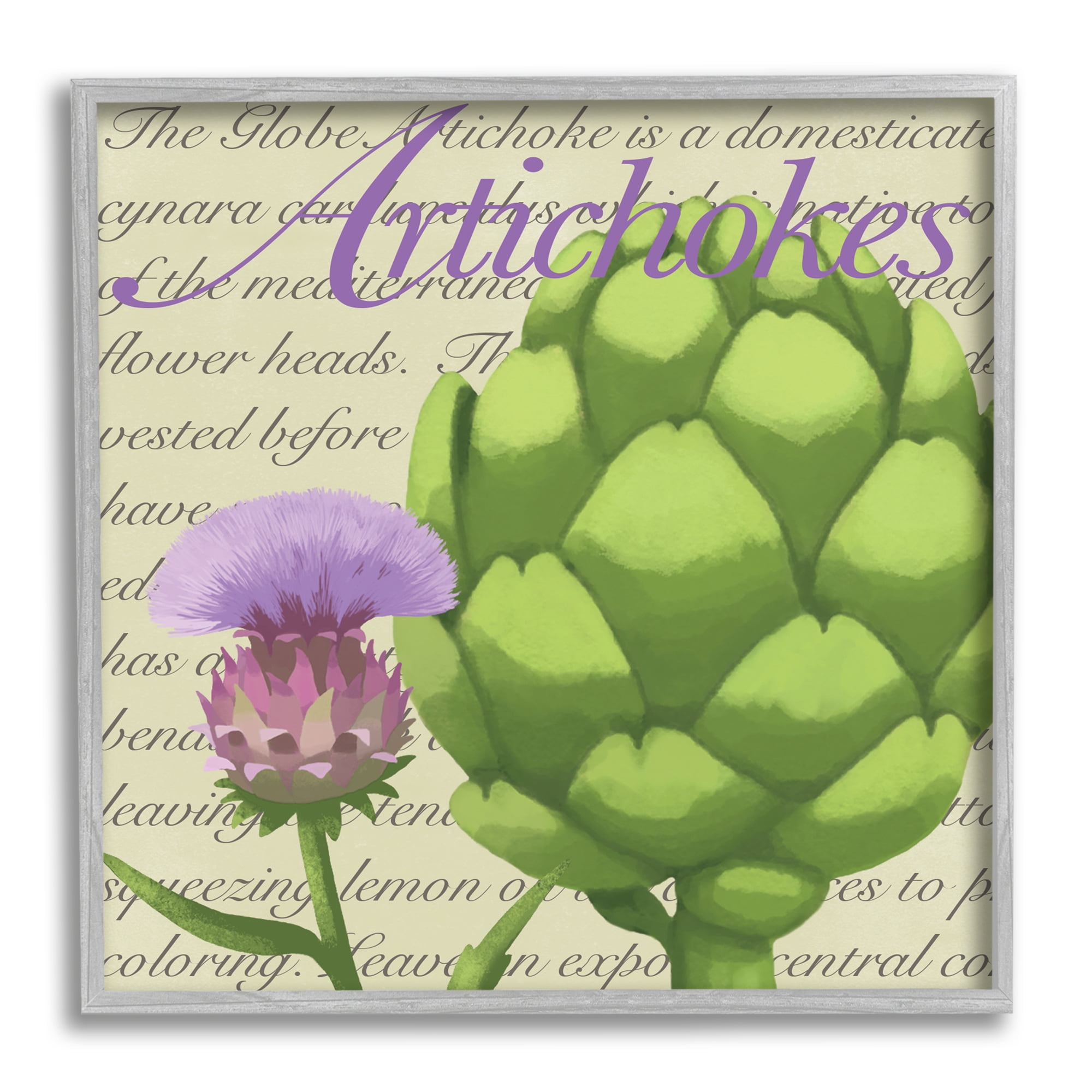 Stupell Industries Artichoke Blooming Florals Green Vegetable Traditional Script, 24 x 24, Designed by Sally Springer Griffith