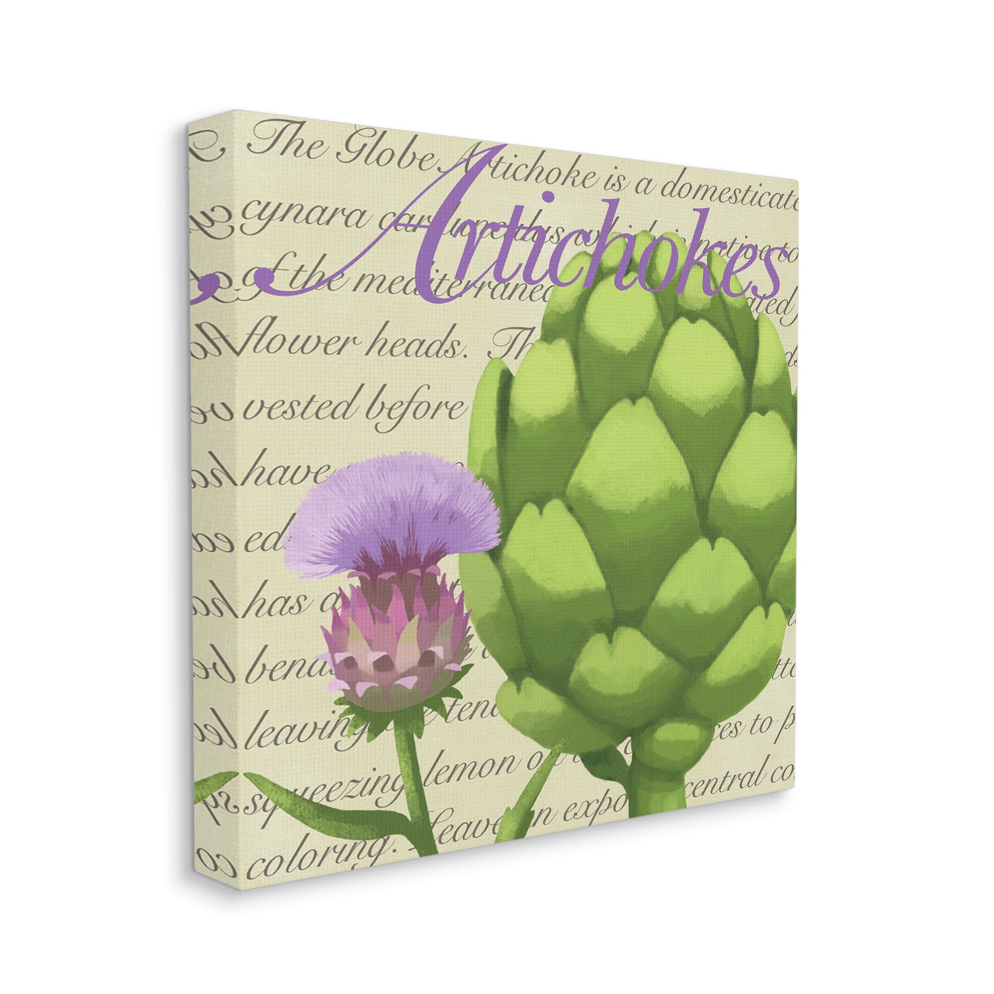 Stupell Industries Artichoke Blooming Florals Green Vegetable Traditional Script, 24 x 24, Designed by Sally Springer Griffith