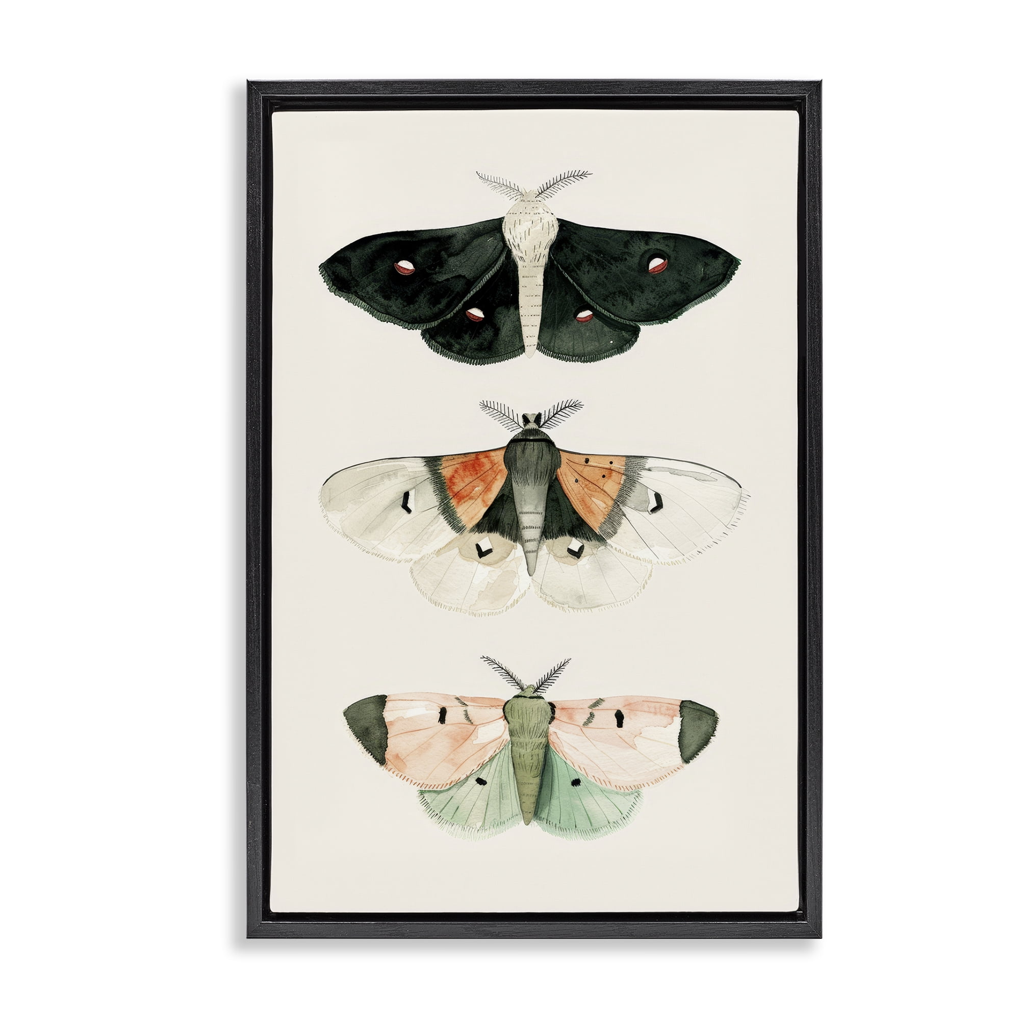 Stupell Industries Assorted Moth Trio Animals Painting Black Floater Framed Canvas Art Print Wall Art, 21 x 31
