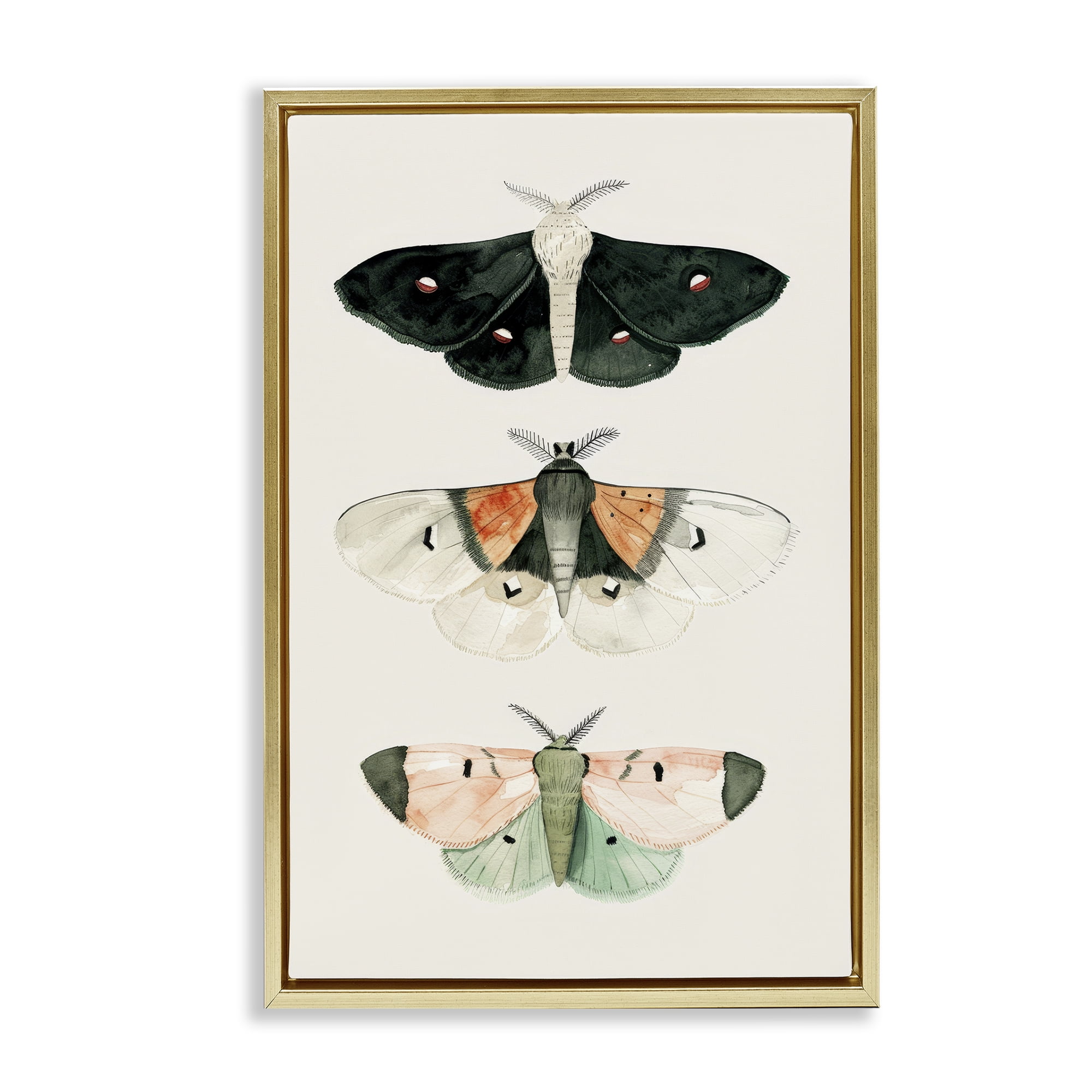 Stupell Industries Assorted Moth Trio Animals Painting Gold Floater Framed Canvas Art Print Wall Art, 21 x 31