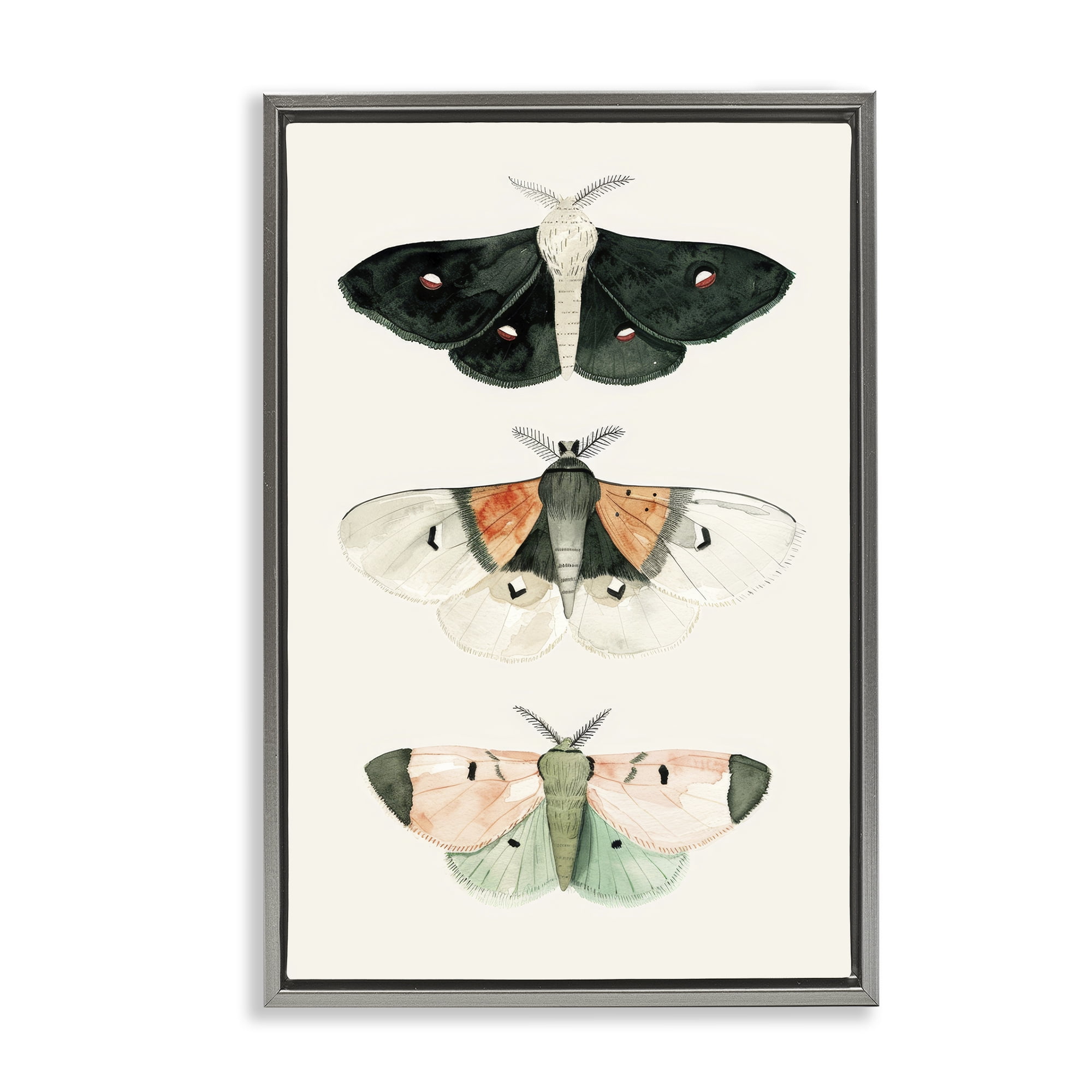 Stupell Industries Assorted Moth Trio Animals Painting Gray Floater Framed Canvas Art Print Wall Art, 17 x 25