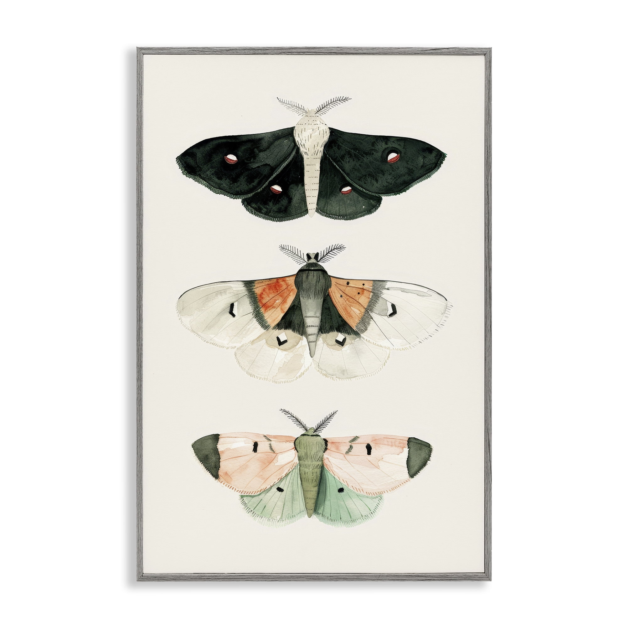 Stupell Industries Assorted Moth Trio Animals Painting Gray Framed Art Print Wall Art, 16 x 24