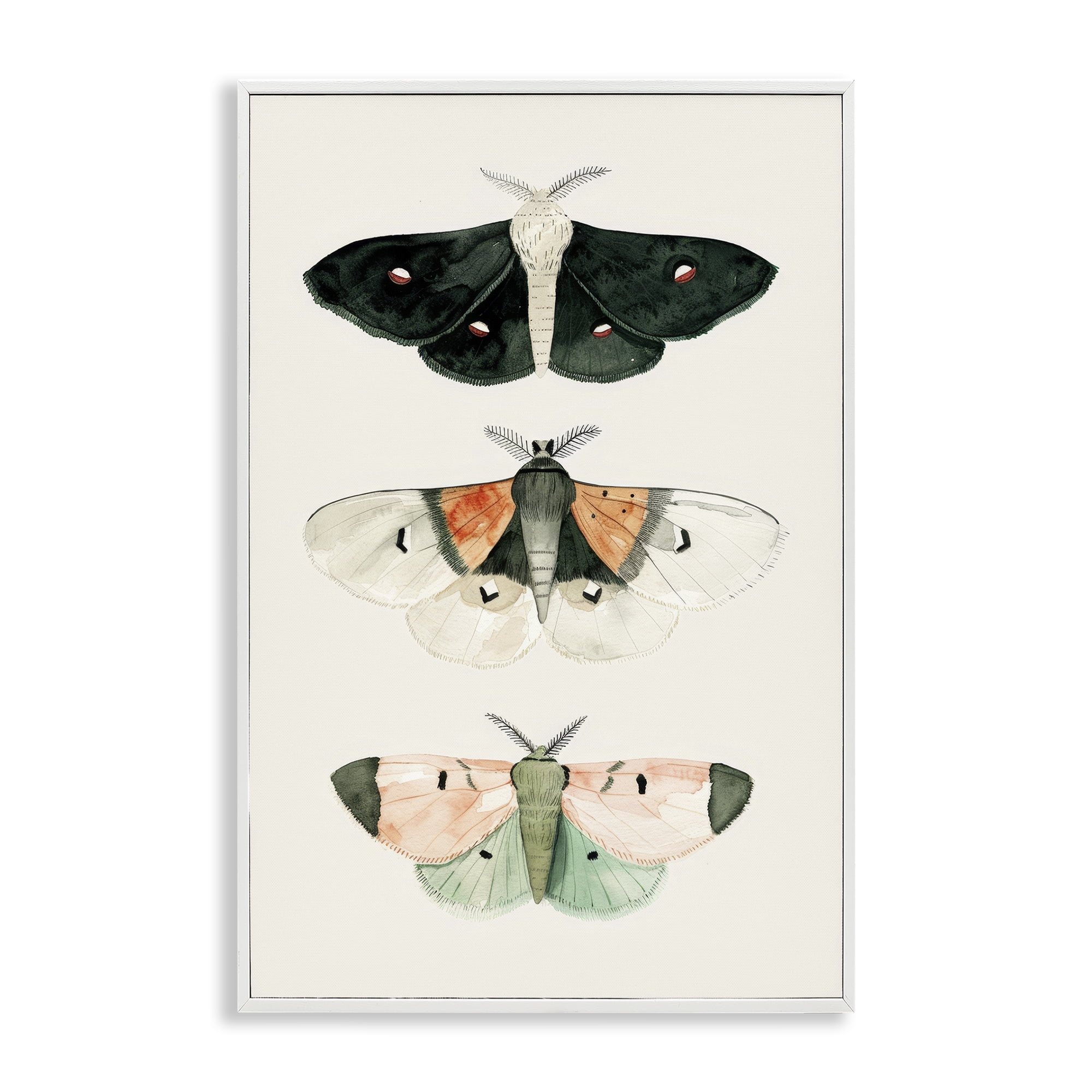 Stupell Industries Assorted Moth Trio Animals Painting White Framed Art Print Wall Art, 12 x 18
