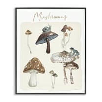 Stupell Industries Assorted Mushrooms Study Botanical & Floral Painting Black Framed Art Print Wall Art, 11 x 14