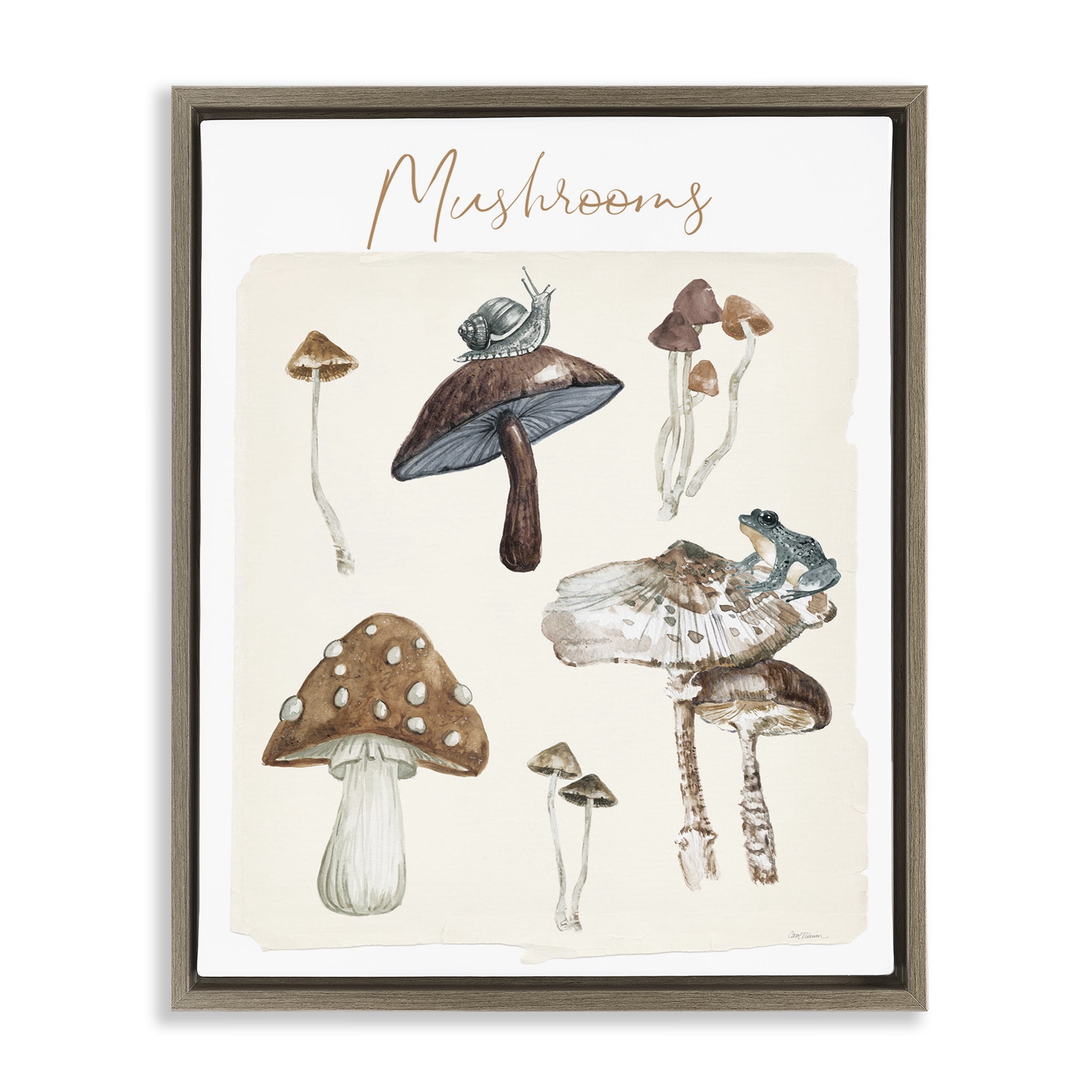 Stupell Industries Assorted Mushrooms Study Botanical & Floral Painting Brown Floater Framed Art Print Wall Art, 17 x 21