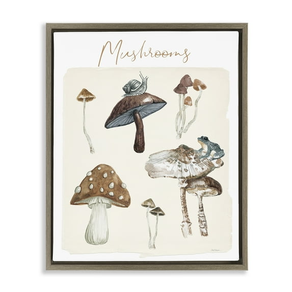 Stupell Industries Assorted Mushrooms Study Botanical & Floral Painting Brown Floater Framed Art Print Wall Art, 17 x 21