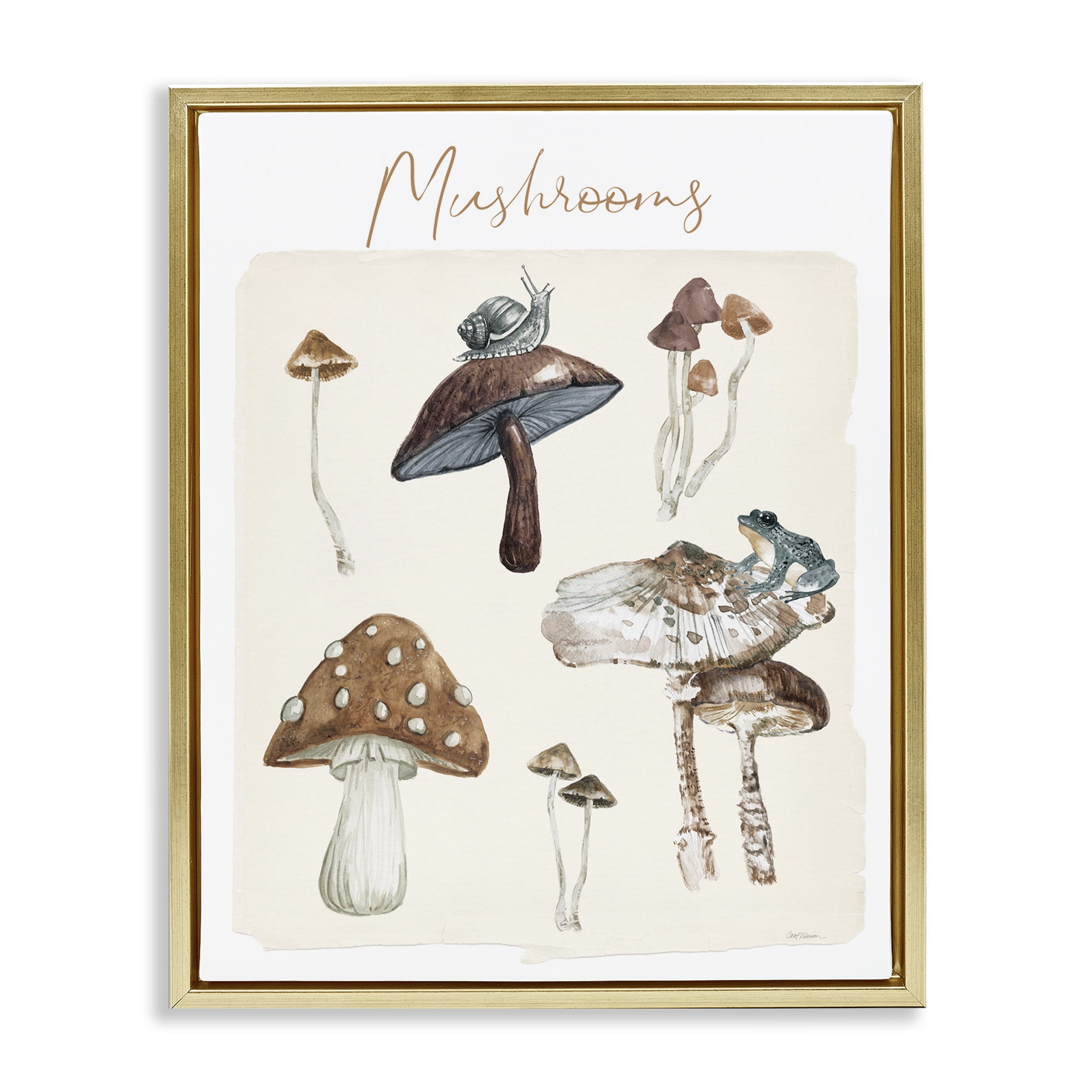 Stupell Industries Assorted Mushrooms Study Botanical & Floral Painting Gold Floater Framed Art Print Wall Art, 17 x 21