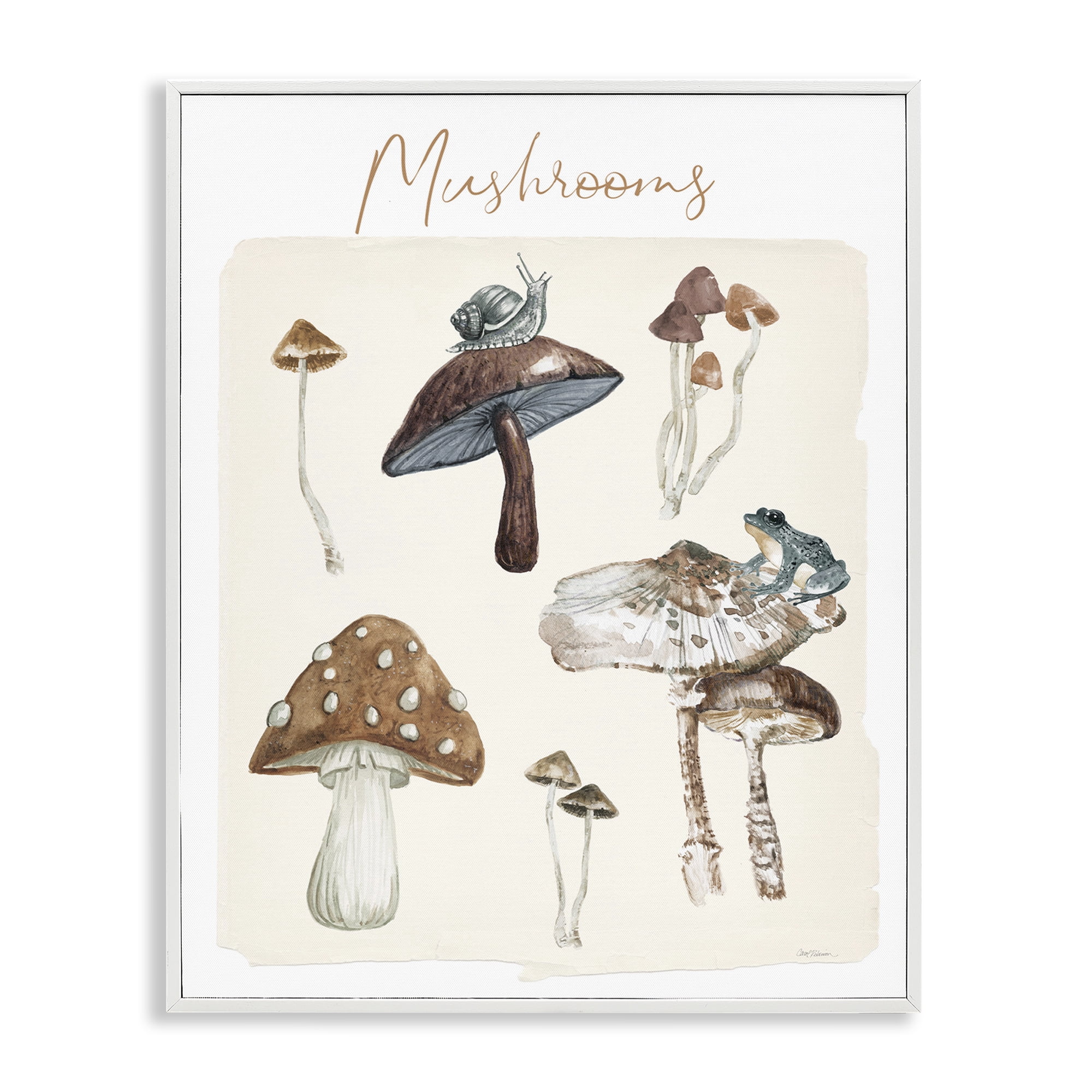 Stupell Industries Assorted Mushrooms Study Botanical & Floral Painting White Framed Art Print Wall Art, 24 x 30