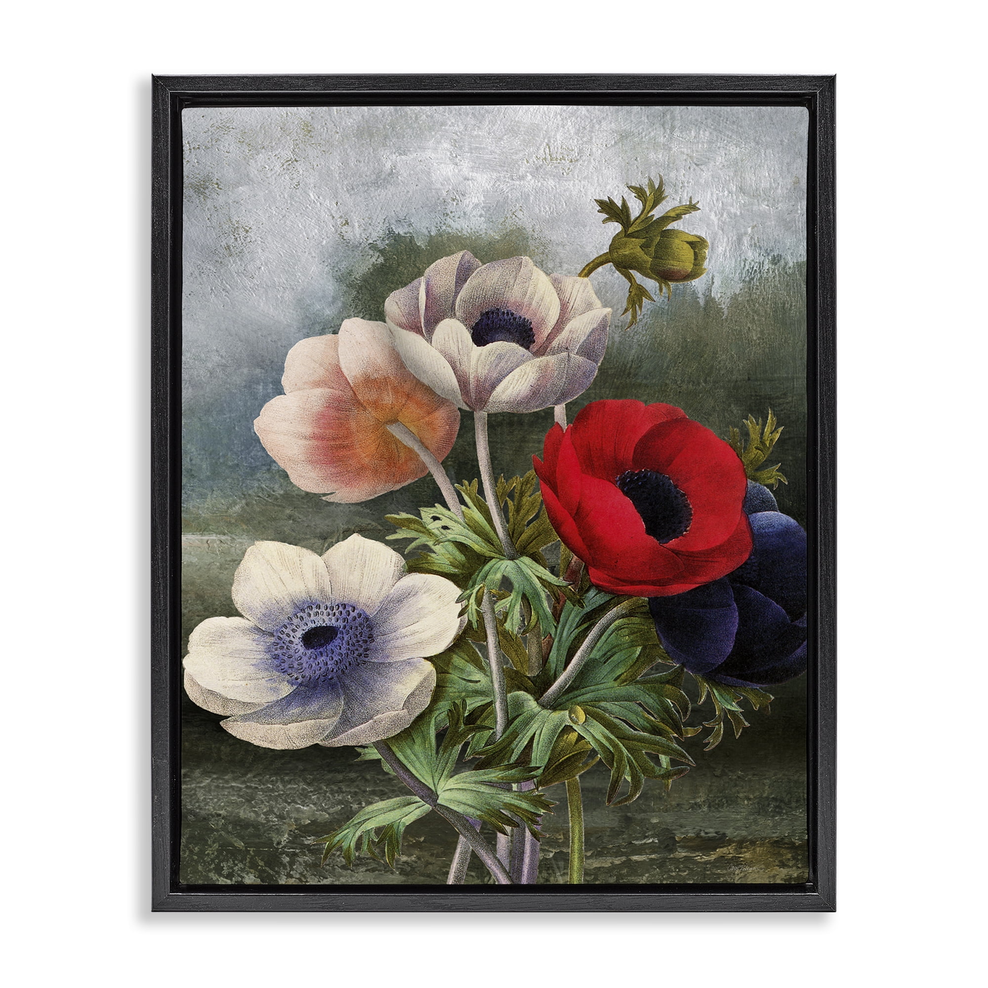 Stupell Industries Assorted Vintage Poppies Botanical & Floral Painting Black Floater Framed Art Print Wall Art, 25 x 31