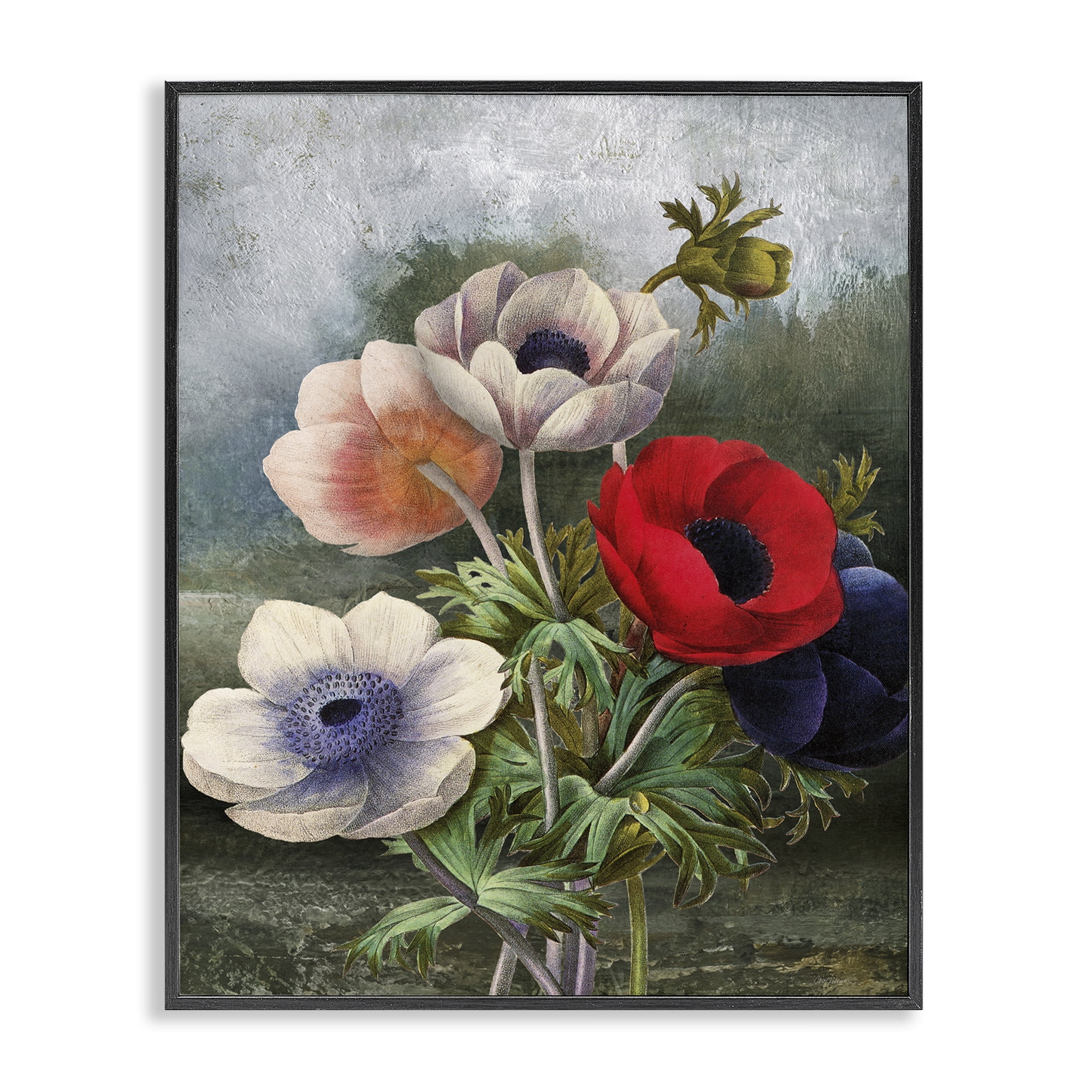 Stupell Industries Assorted Vintage Poppies Botanical & Floral Painting Black Framed Art Print Wall Art, 24 x 30