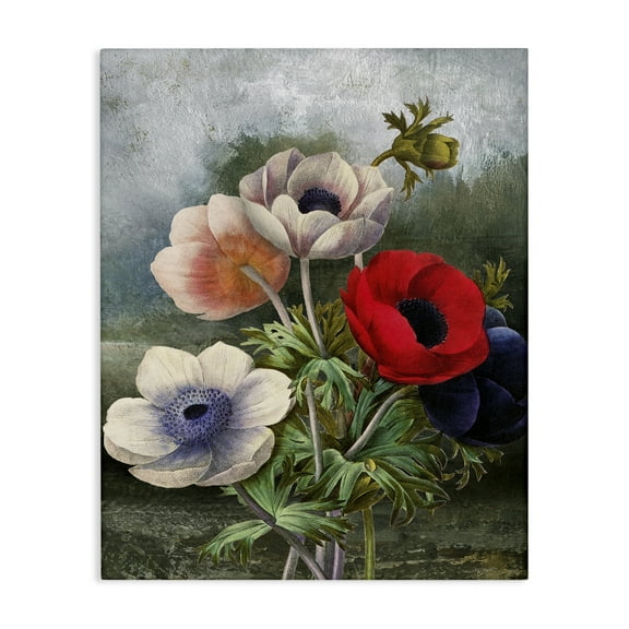 Stupell Industries Assorted Vintage Poppies Botanical & Floral Painting Gallery Wrapped Canvas Art Print Wall Art, 16 x 20