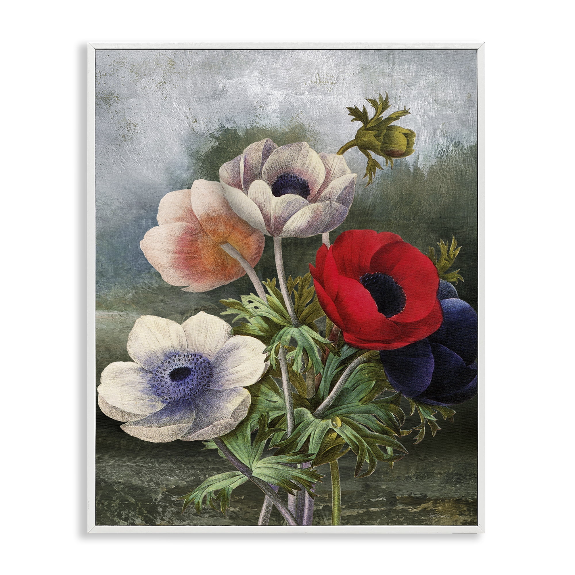 Stupell Industries Assorted Vintage Poppies Botanical & Floral Painting White Framed Art Print Wall Art, 24 x 30