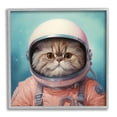 thumbnail image 1 of Stupell Industries Astronaut Cat in Space Animals & Insects Painting Gray Framed Art Print Wall Art, 24 x 24, 1 of 9