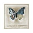 thumbnail image 1 of Stupell Industries Asymmetrical Butterfly Neutral Border Painting Gallery Wrapped Canvas Print Wall Art, Design by Stacy D'Aguiar, 1 of 7