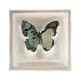 thumbnail image 1 of Stupell Industries Asymmetrical Butterfly Wings Painting Unframed Art Print Wall Art, Design by Stacy D'Aguiar, 1 of 6