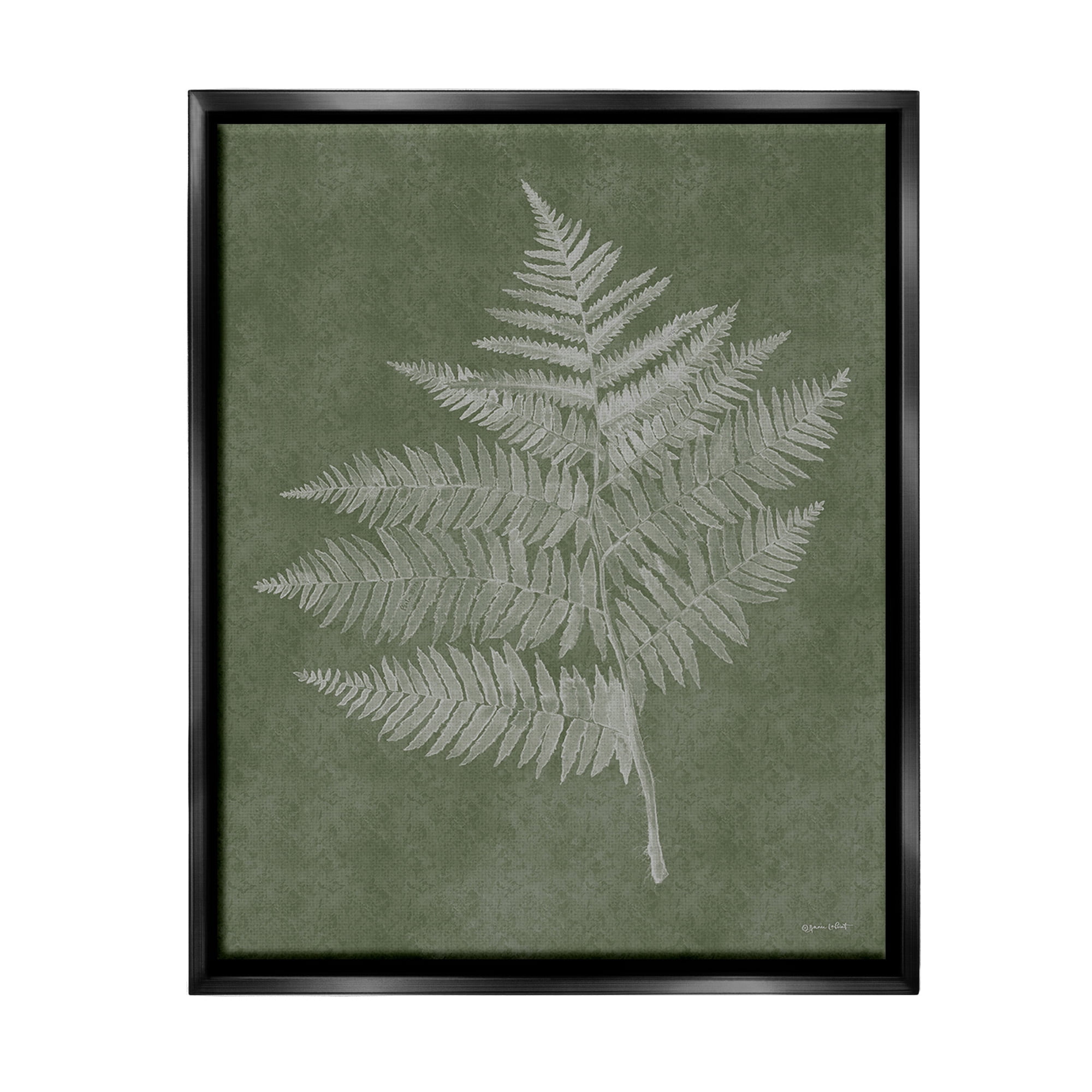 Stupell Industries Asymmetrical Fern Plant Botanical & Floral Painting Black Floater Framed Canvas Art Print Wall Art, 17 x 21
