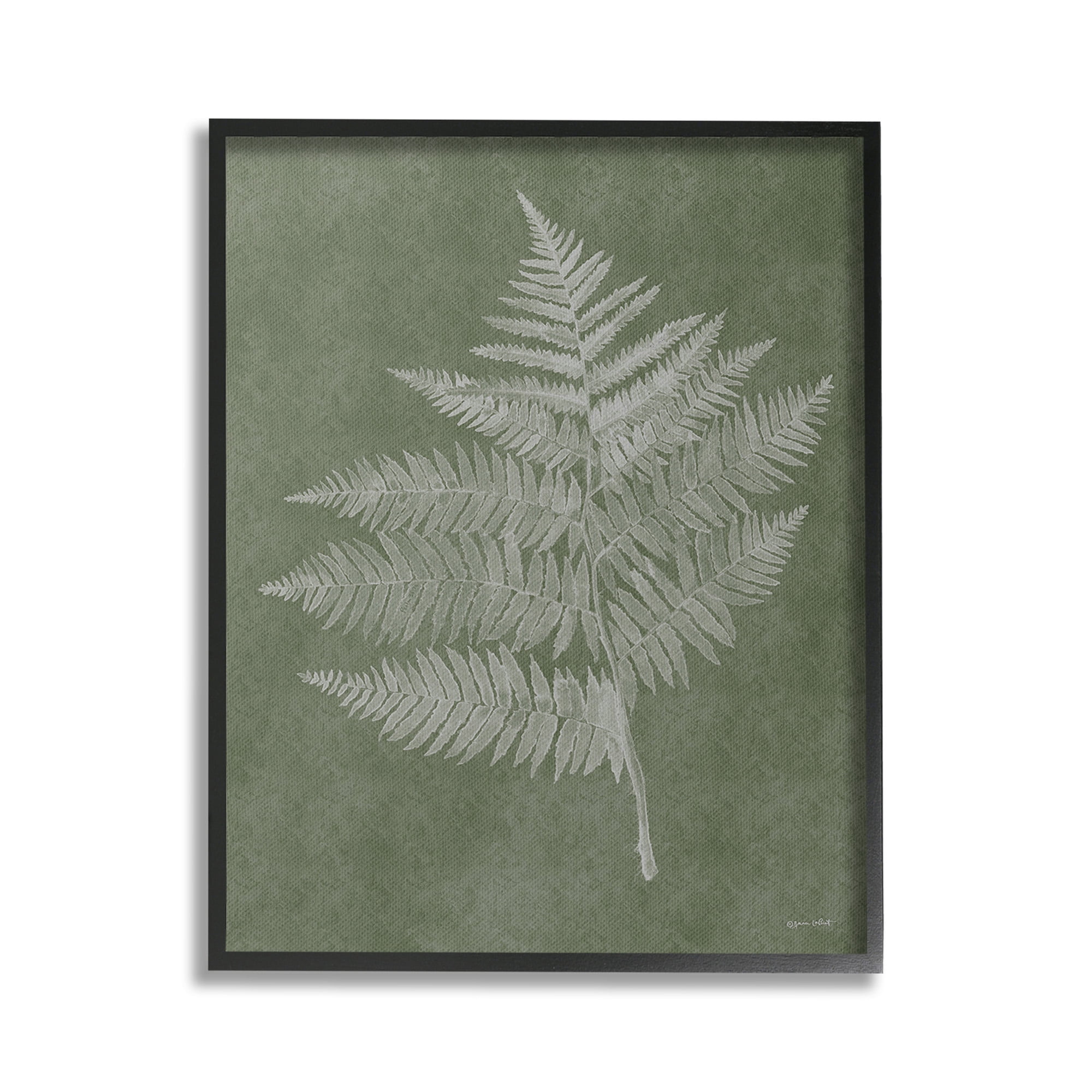 Stupell Industries Asymmetrical Fern Plant Botanical & Floral Painting Black Framed Art Print Wall Art, 16 x 20