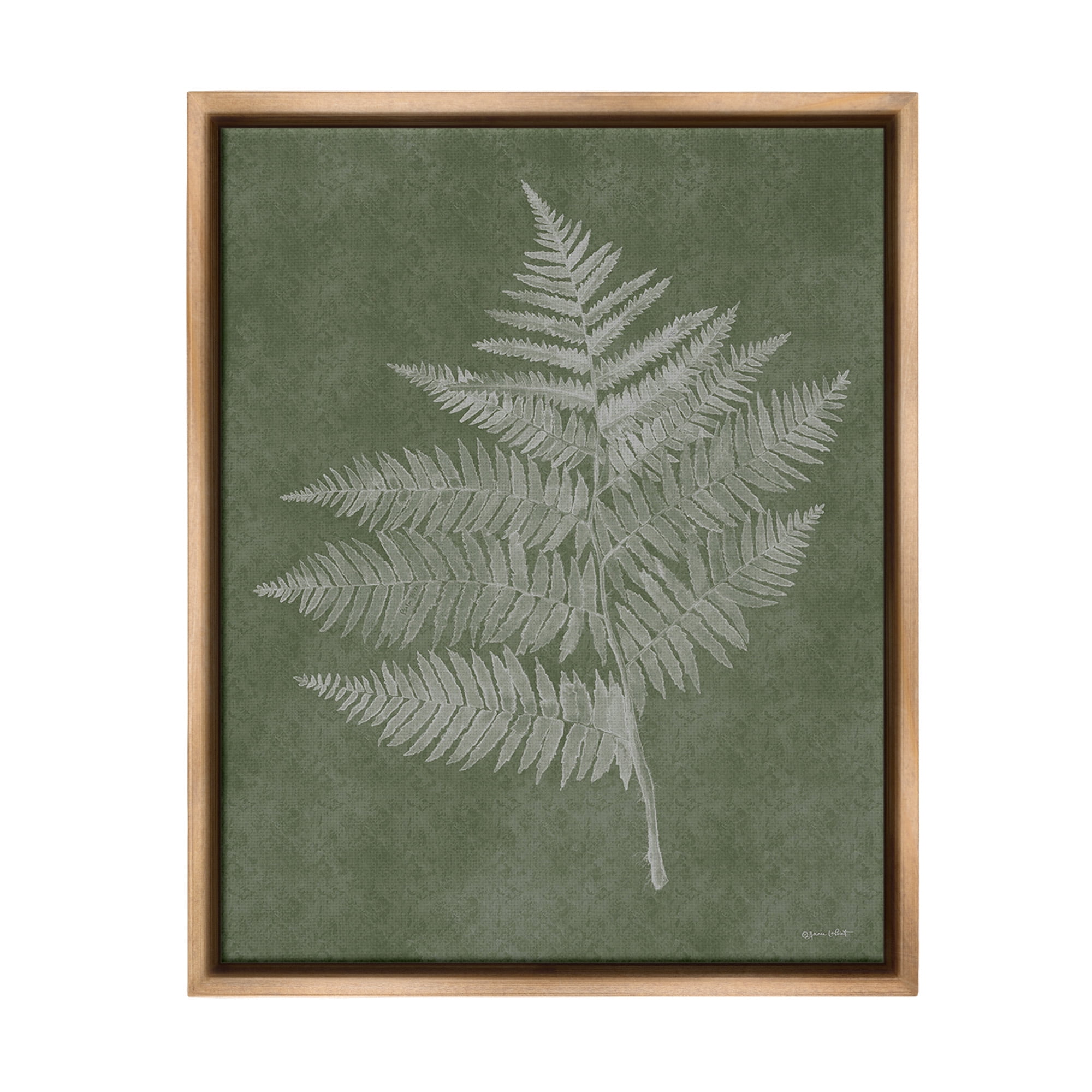 Stupell Industries Asymmetrical Fern Plant Botanical & Floral Painting Brown Floater Framed Canvas Art Print Wall Art, 17 x 21