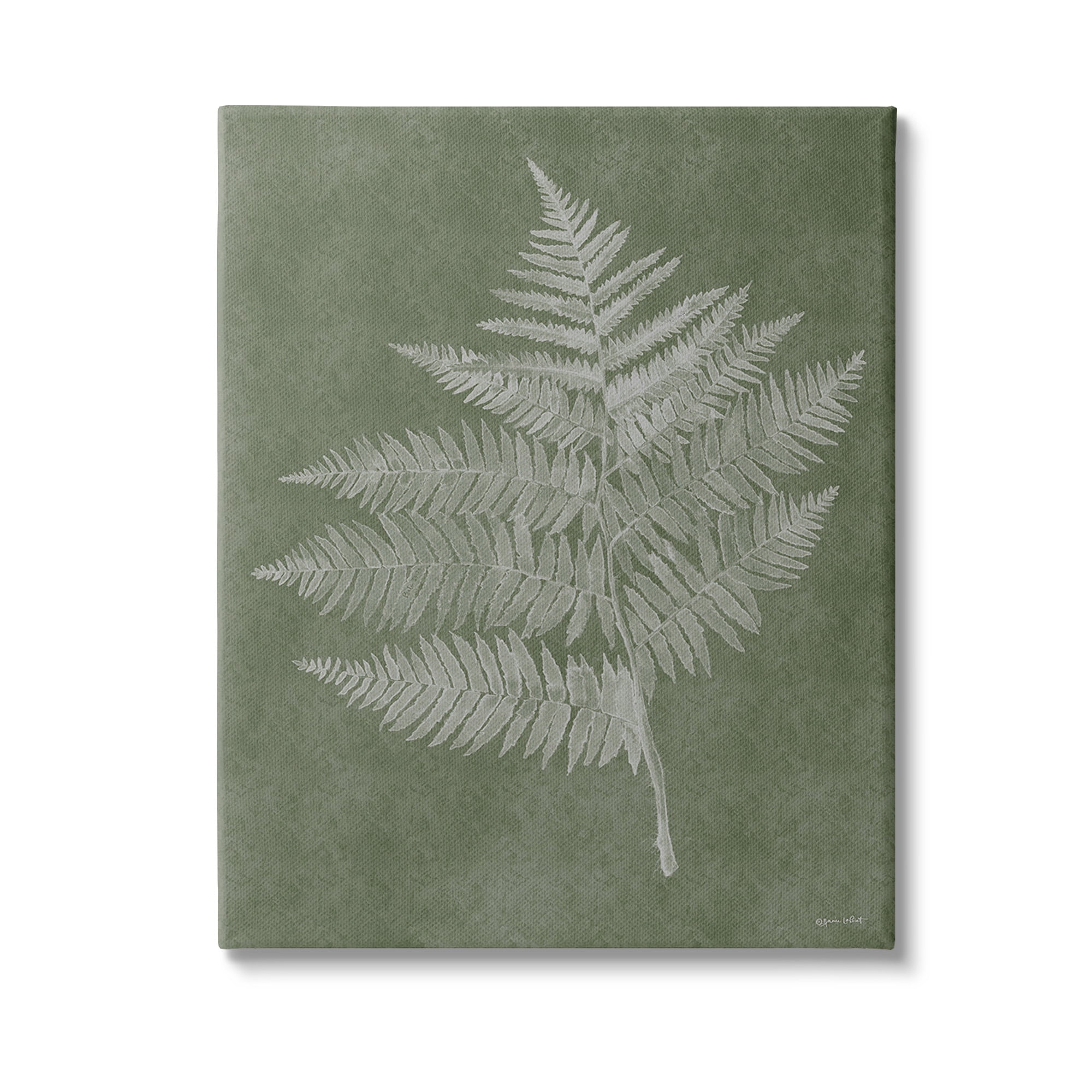 Green and White Botanical Fern Canvas Wall Art, 16 x 20