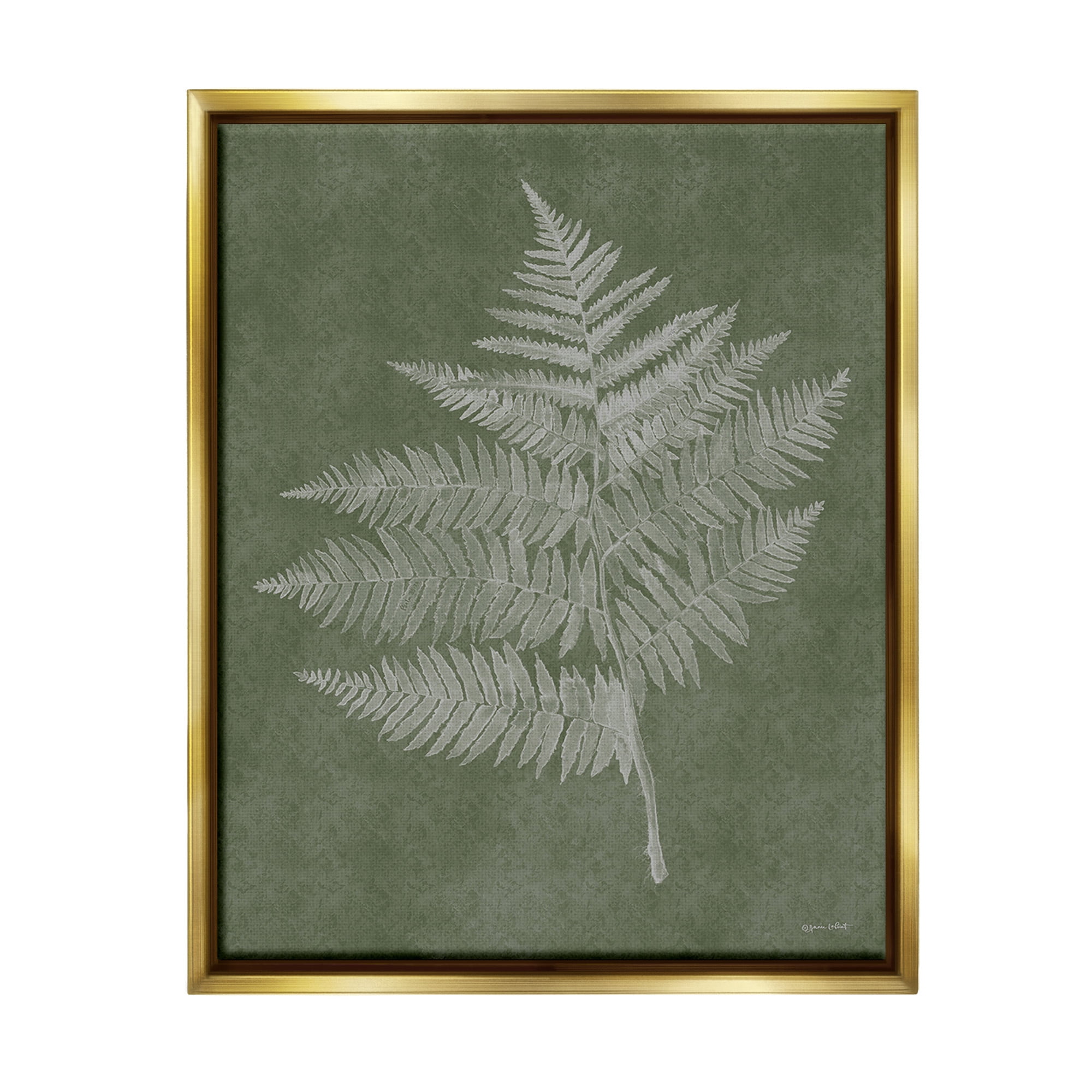 Stupell Industries Asymmetrical Fern Plant Botanical & Floral Painting Gold Floater Framed Canvas Art Print Wall Art, 17 x 21