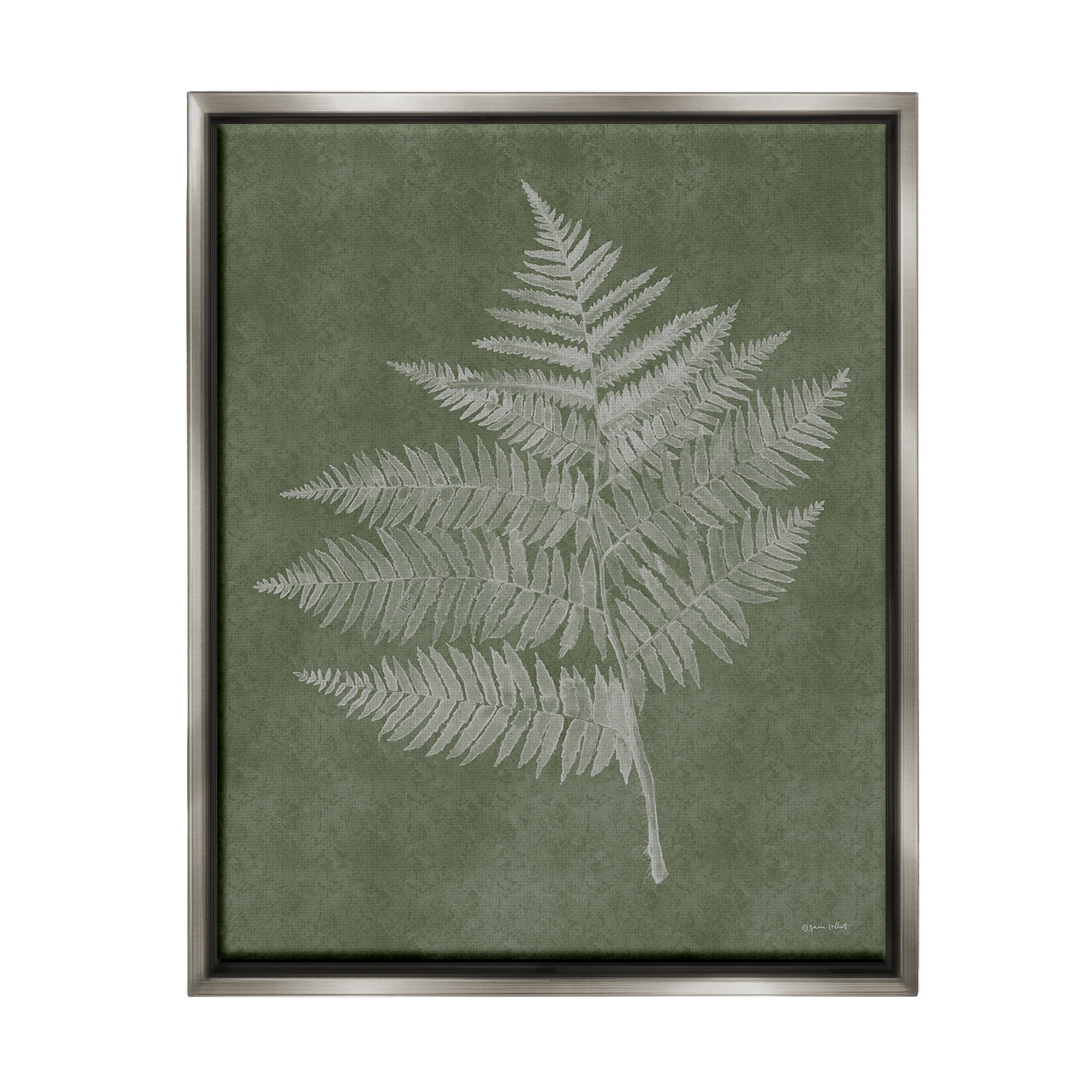 Stupell Industries Asymmetrical Fern Plant Botanical & Floral Painting Gray Floater Framed Canvas Art Print Wall Art, 25 x 31