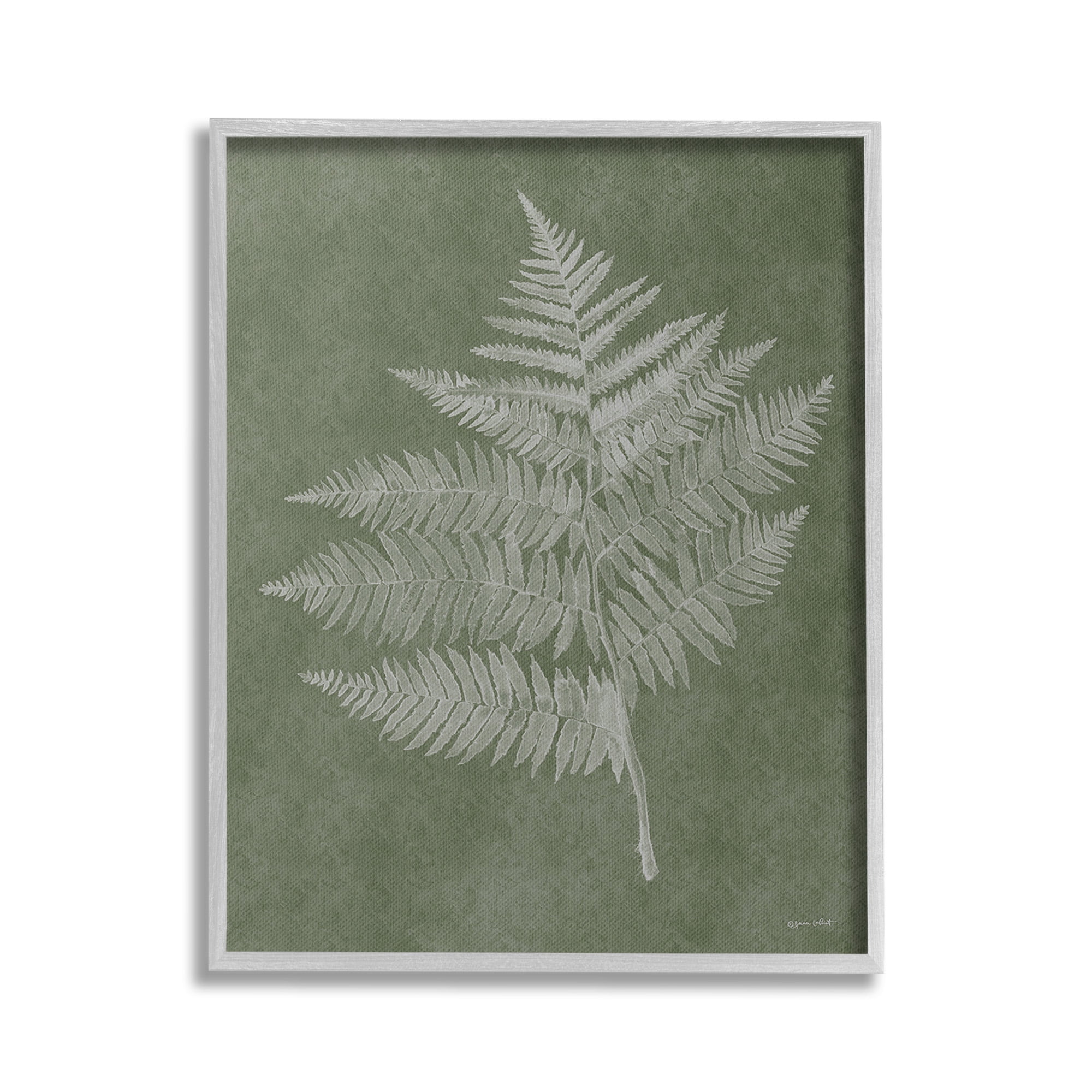 Stupell Industries Asymmetrical Fern Plant Botanical & Floral Painting Gray Framed Art Print Wall Art, 24 x 30