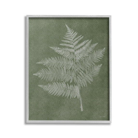 Stupell Industries Asymmetrical Fern Plant Botanical & Floral Painting Gray Framed Art Print Wall Art, 24 x 30