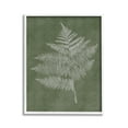thumbnail image 1 of Stupell Industries Asymmetrical Fern Plant Botanical & Floral Painting White Framed Art Print Wall Art, 11 x 14, 1 of 9