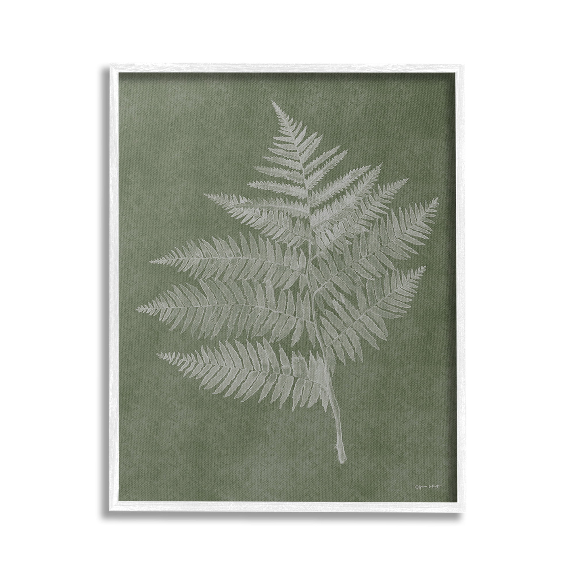 Stupell Industries Asymmetrical Fern Plant Botanical & Floral Painting White Framed Art Print Wall Art, 16 x 20