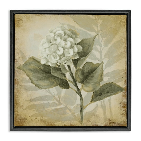 Stupell Industries Aubergine Hydrangea Impression Plants & Flowers Painting Black Floater Framed Canvas Art Print Wall Art, 18 x 18