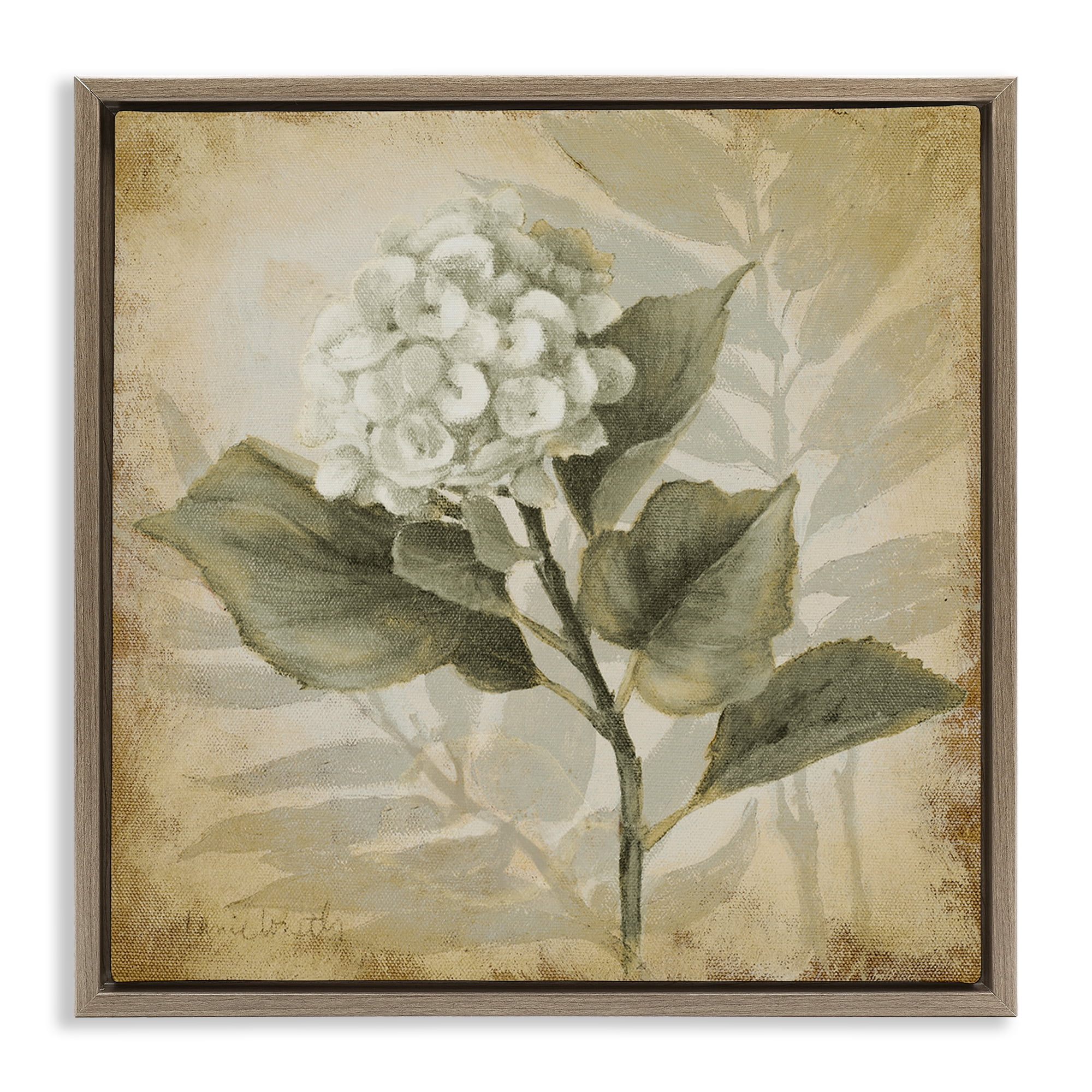 Stupell Industries Aubergine Hydrangea Impression Plants & Flowers Painting Brown Floater Framed Canvas Art Print Wall Art, 18 x 18