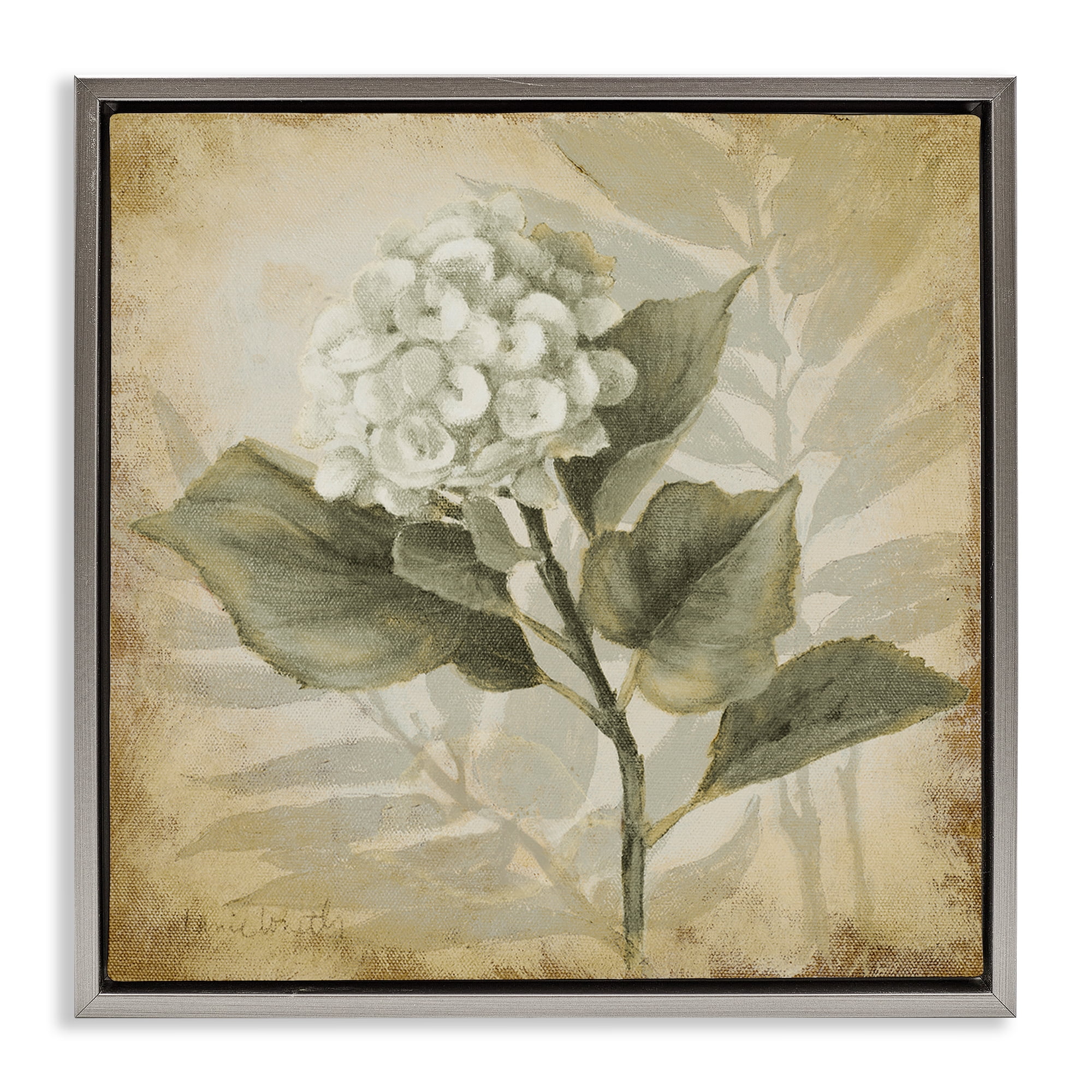 Stupell Industries Aubergine Hydrangea Impression Plants & Flowers Painting Gray Floater Framed Canvas Art Print Wall Art, 18 x 18
