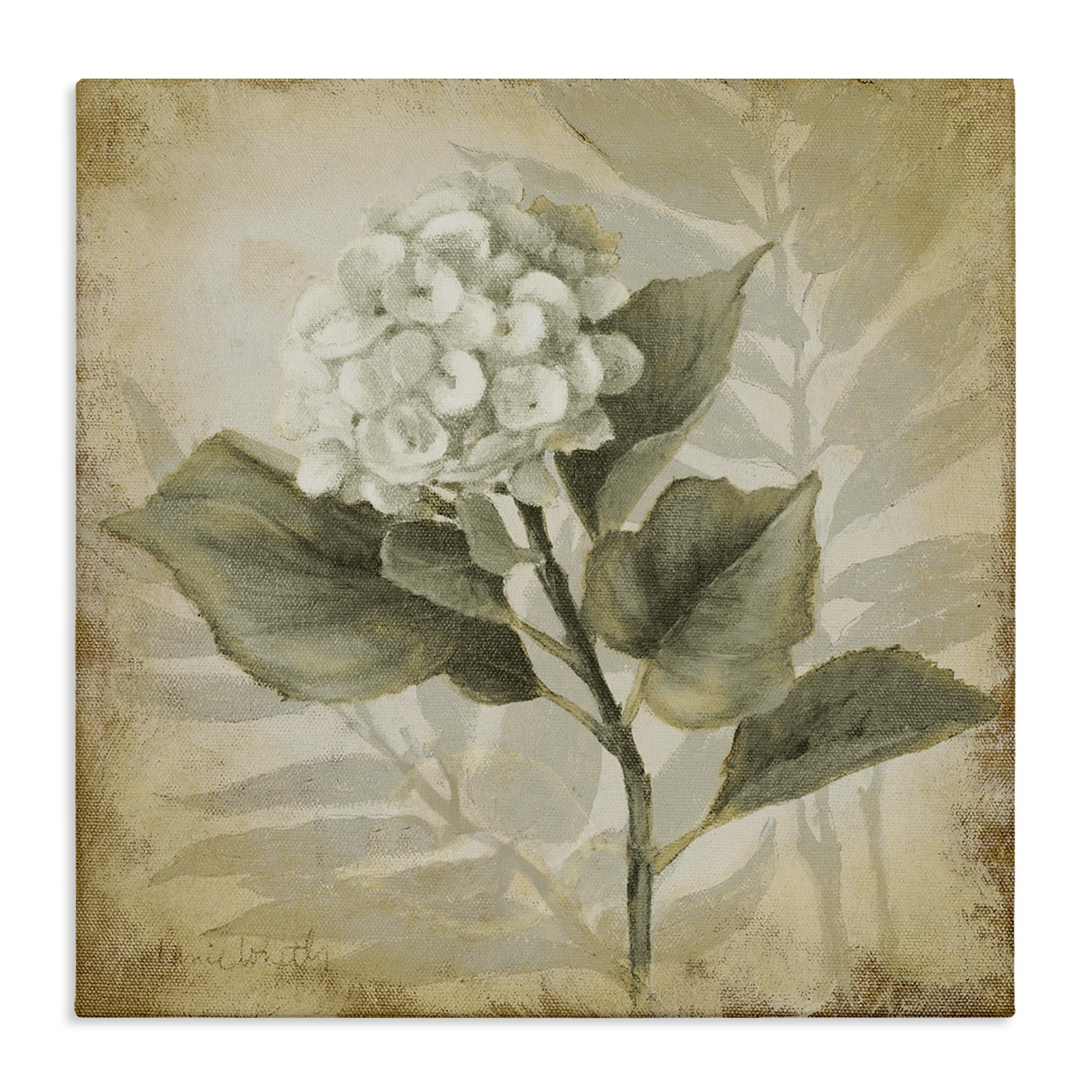 Stupell Industries Aubergine Hydrangea Impression Plants & Flowers Painting Wrapped Canvas Art Print Wall Art, 30 x 30