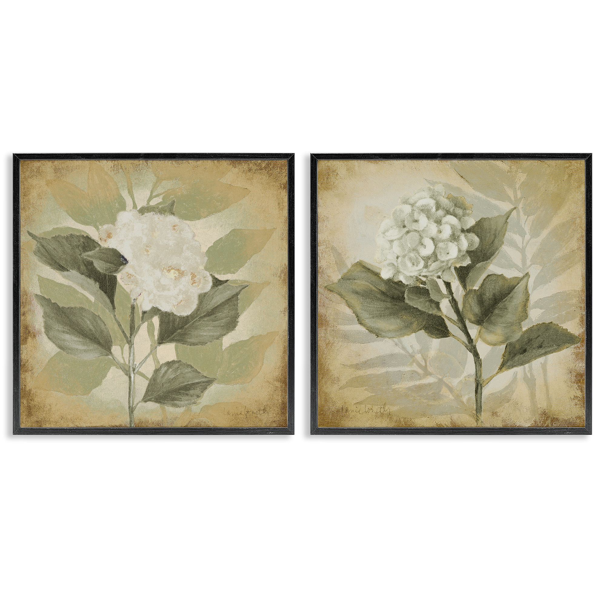 Stupell Industries Aubergine White Hydrangeas Floral & Botanical Painting Black Framed Art Print Wall Art, 17 x 17, Set of 2