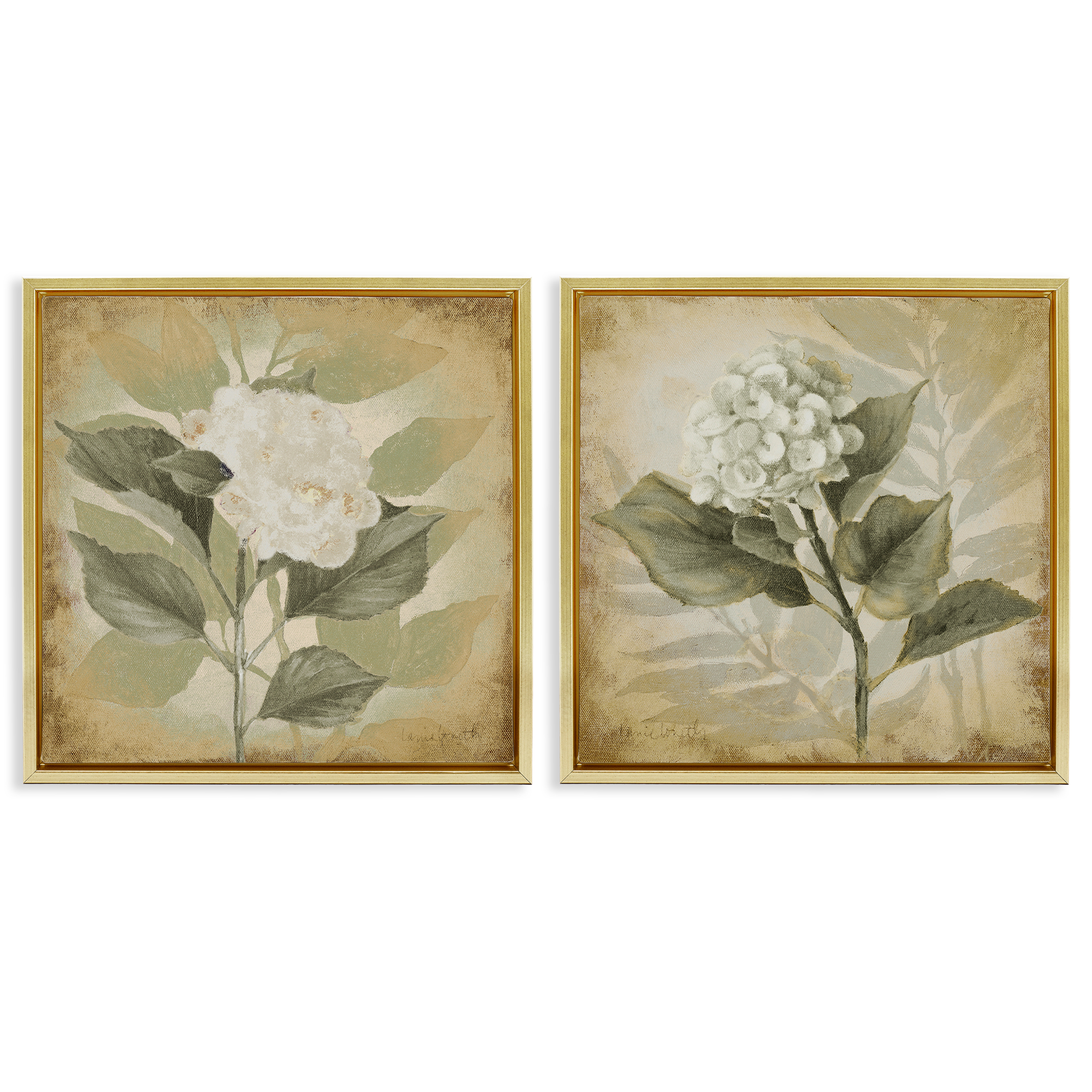 Stupell Industries Aubergine White Hydrangeas Floral & Botanical Painting Gold Floater Framed Canvas Art Print Wall Art, 18 x 18, Set of 2