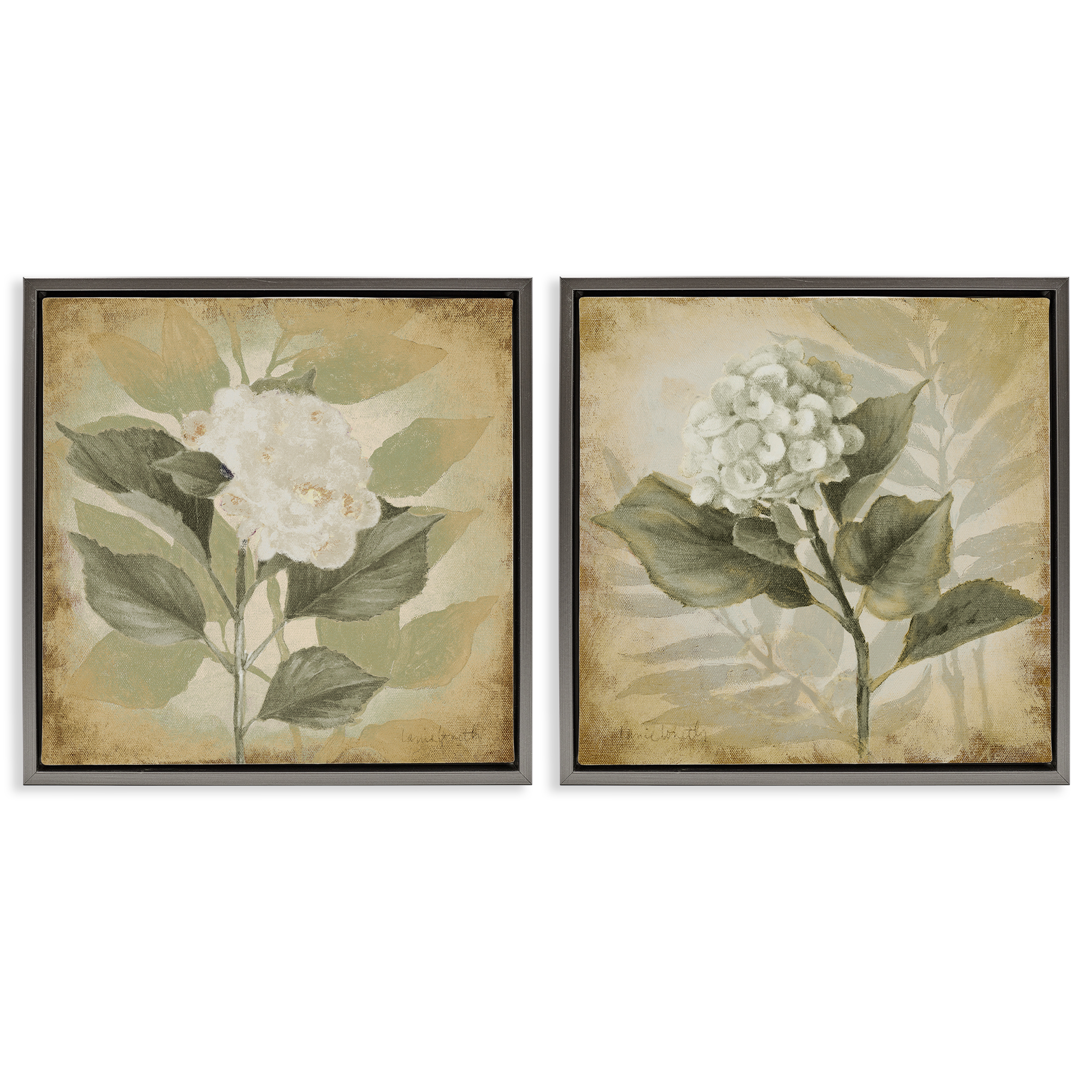 Stupell Industries Aubergine White Hydrangeas Floral & Botanical Painting Gray Floater Framed Canvas Art Print Wall Art, 18 x 18, Set of 2