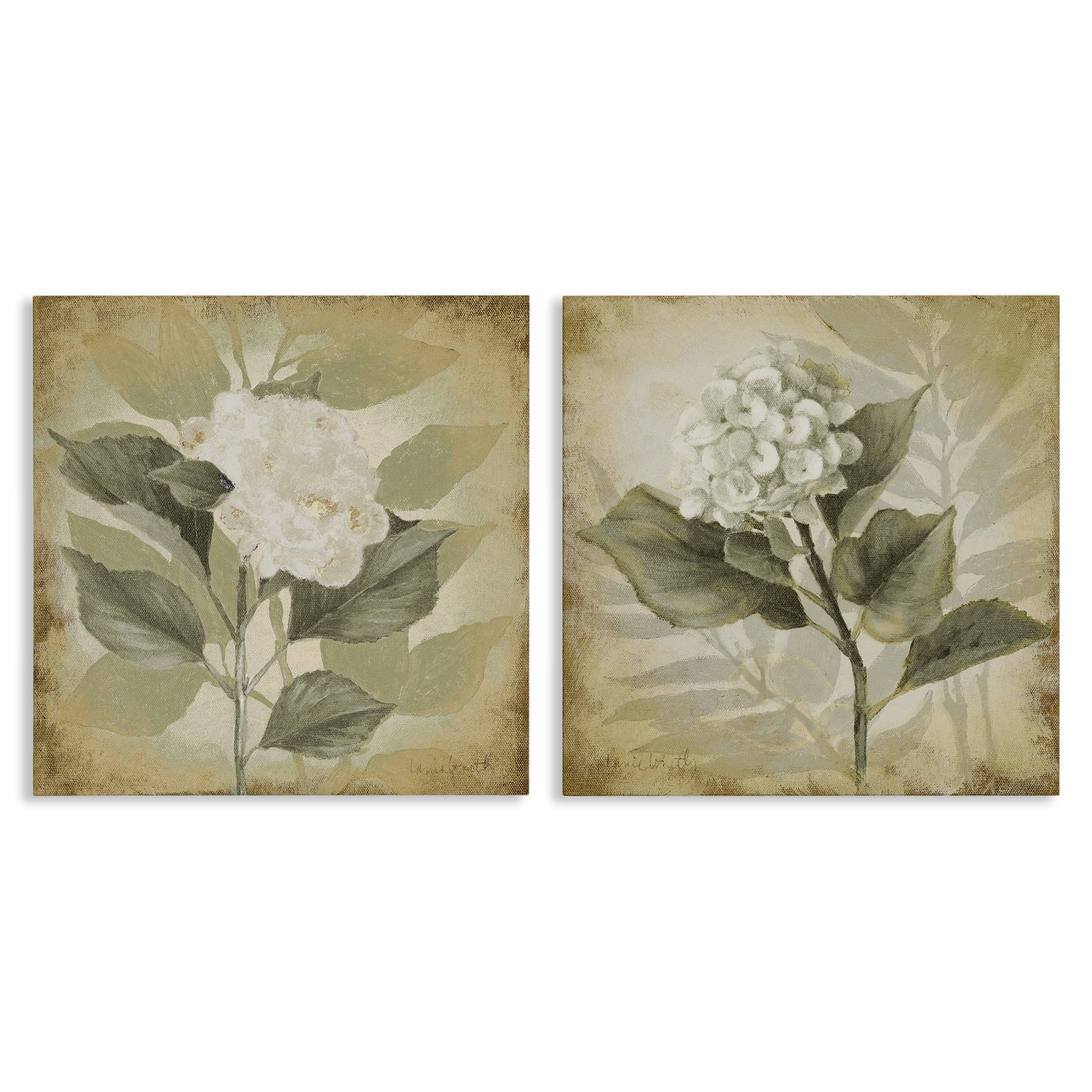 Stupell Industries Aubergine White Hydrangeas Floral & Botanical Painting Wrapped Canvas Art Print Wall Art, 17 x 17, Set of 2
