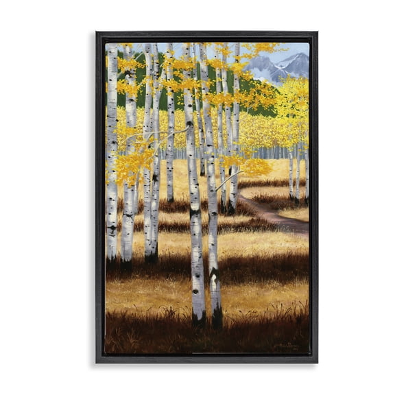 Stupell Industries Autumn Birch Trees Field Black Framed Floater Canvas Wall Art design by Julie Peterson, 25 x 17