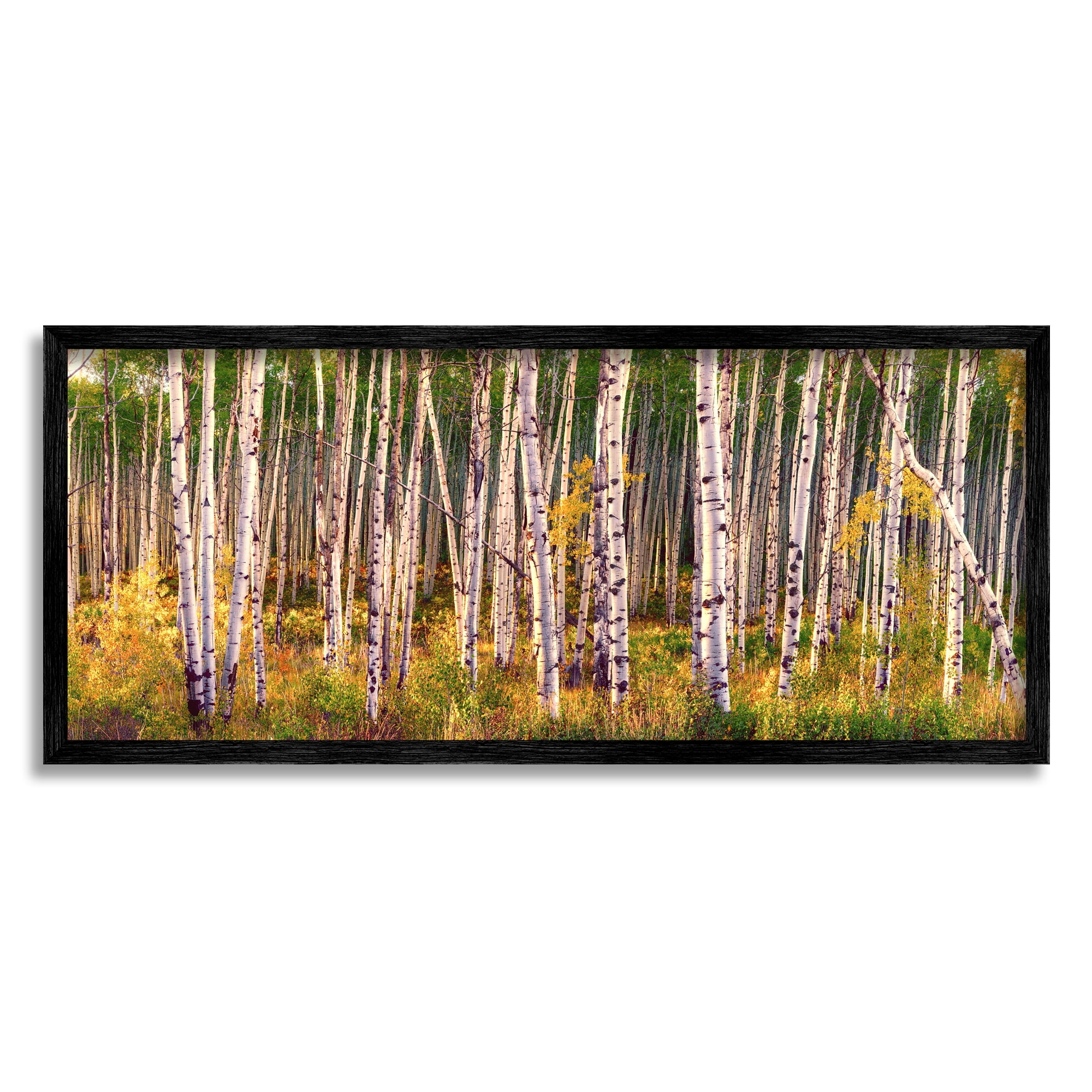 Stupell Industries Autumn Birch Trees Nature Painting Black Framed Art Print Wall Art, 30 x 13