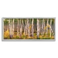 thumbnail image 1 of Stupell Industries Autumn Birch Trees Nature Painting Gray Framed Art Print Wall Art, 24 x 10, 1 of 8
