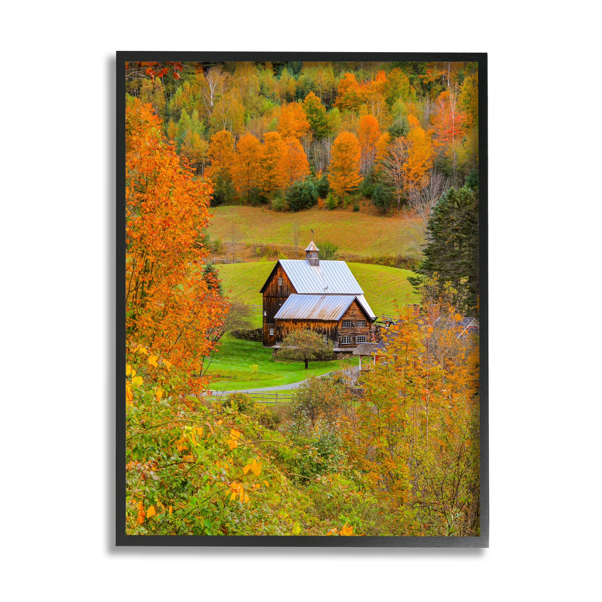 Stupell Industries Autumn Farmhouse Cabin Nature Photography Black Framed Art Print Wall Art, 24 x 30
