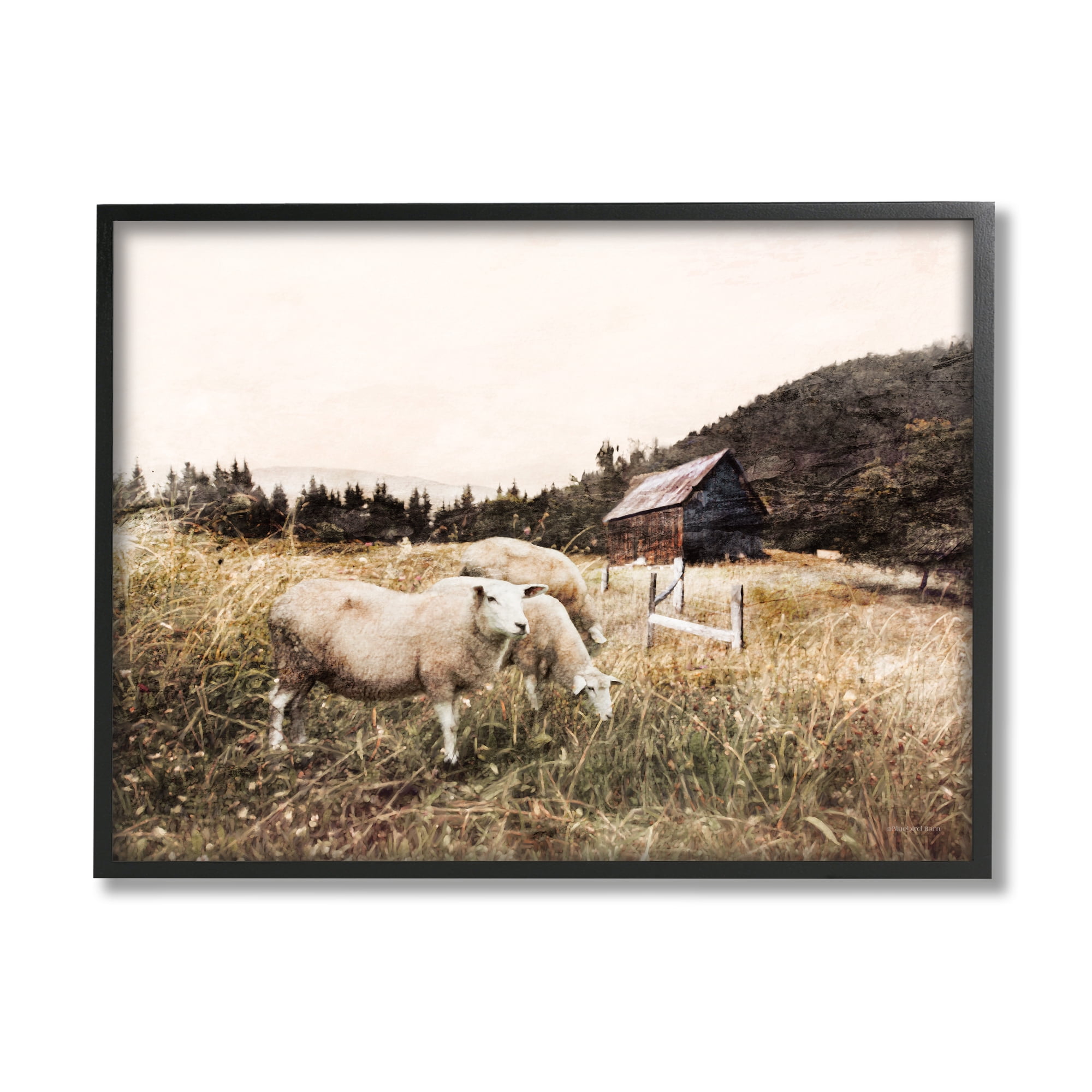 Stupell Industries Autumn Field Farm Sheep Grazing Wilderness Barn, 11 x 14, Designed by Bluebird Barn