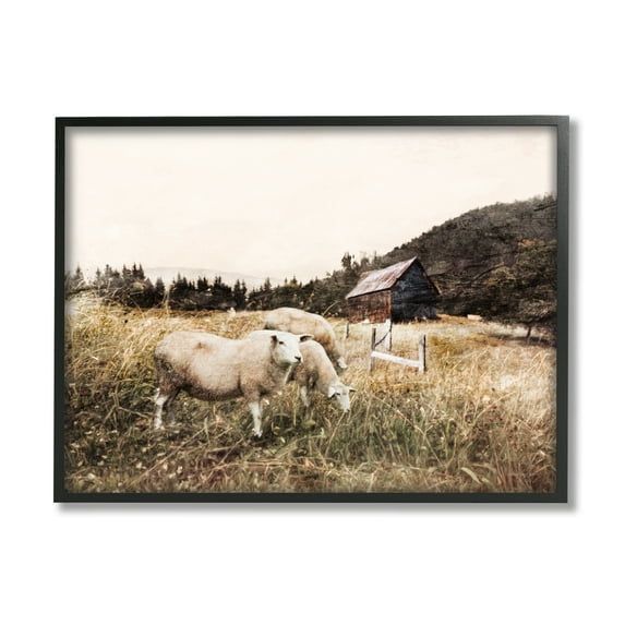 Stupell Industries Autumn Field Farm Sheep Grazing Wilderness Barn, 16 x 20, Designed by Bluebird Barn